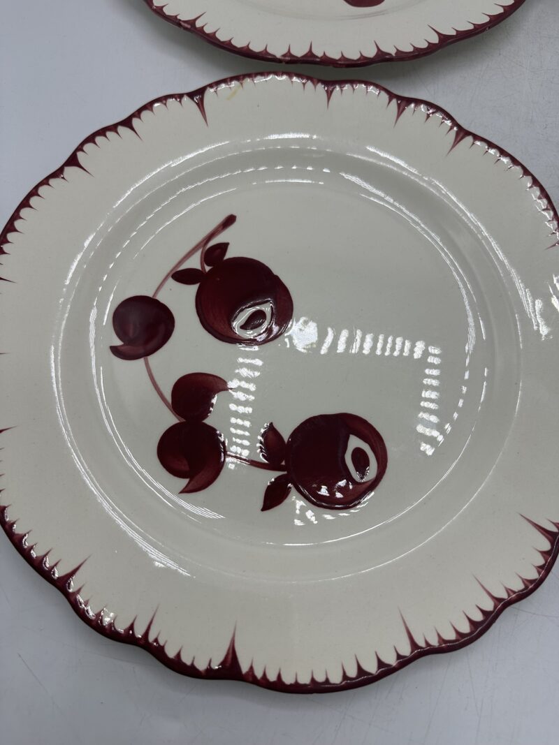 Assiettes Salins les Bains Mistral – Image 8