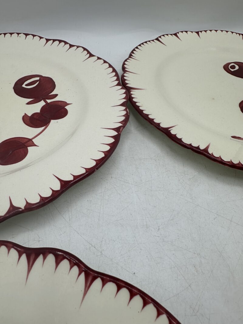 Assiettes Salins les Bains Mistral – Image 10