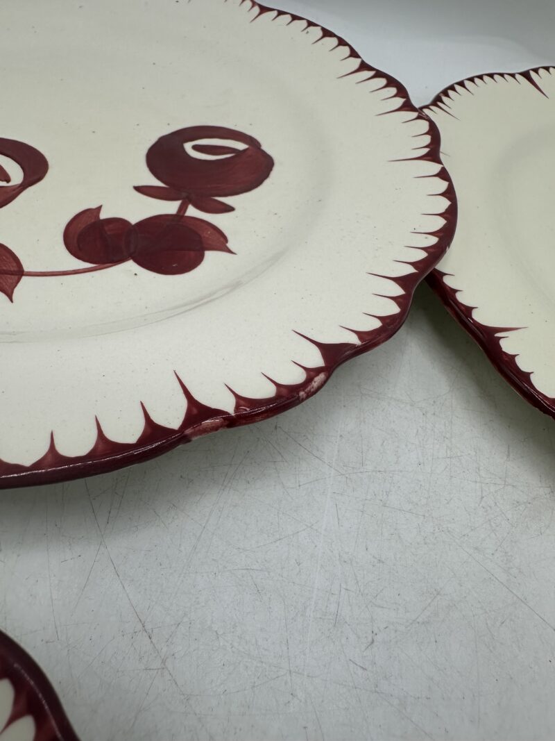 Assiettes Salins les Bains Mistral – Image 11