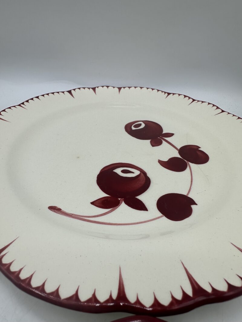Assiettes Salins les Bains Mistral – Image 13