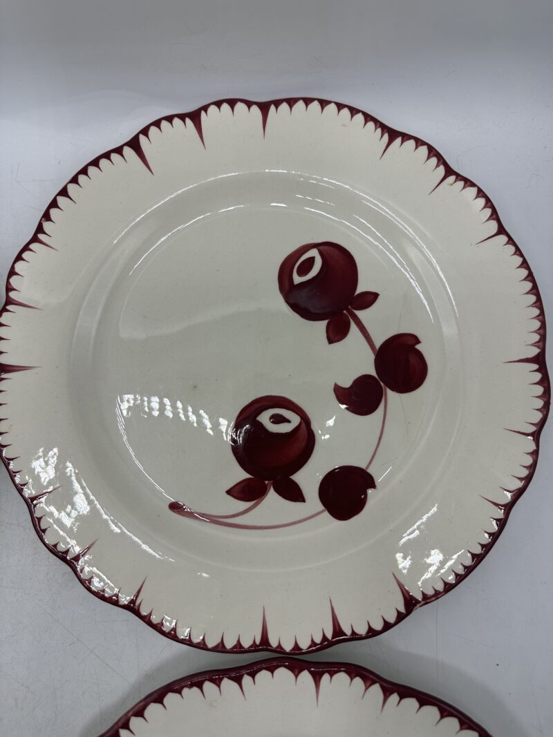 Assiettes Salins les Bains Mistral – Image 14