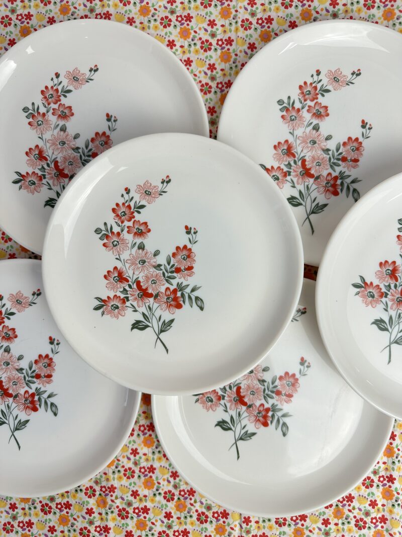 9 assiettes à dessert Sovirel