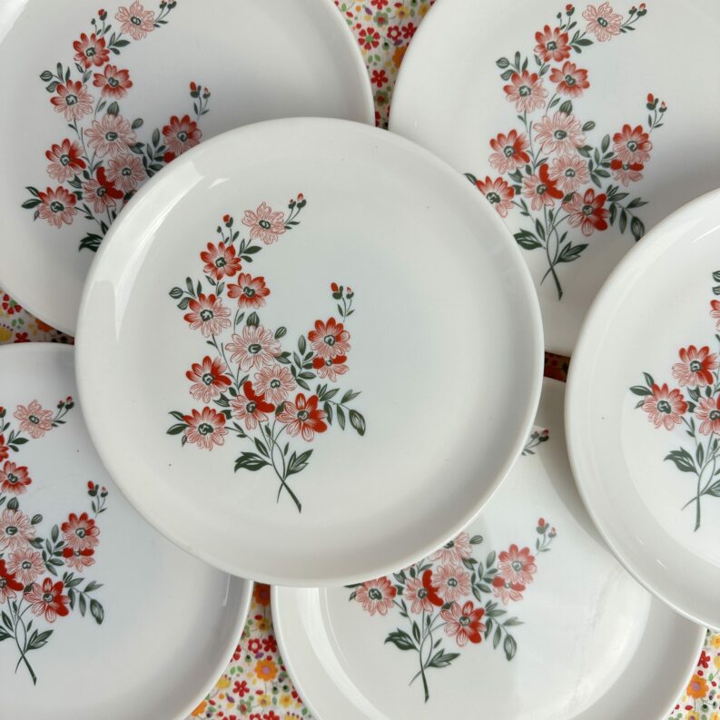 9 assiettes à dessert Sovirel