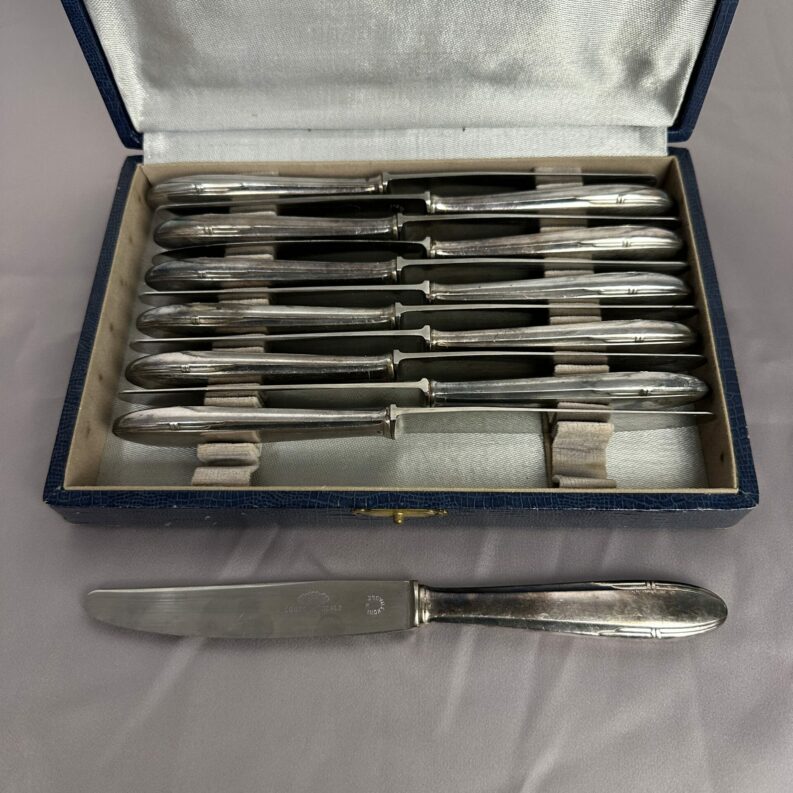 Coffret 12 couteaux Coupe Idéale