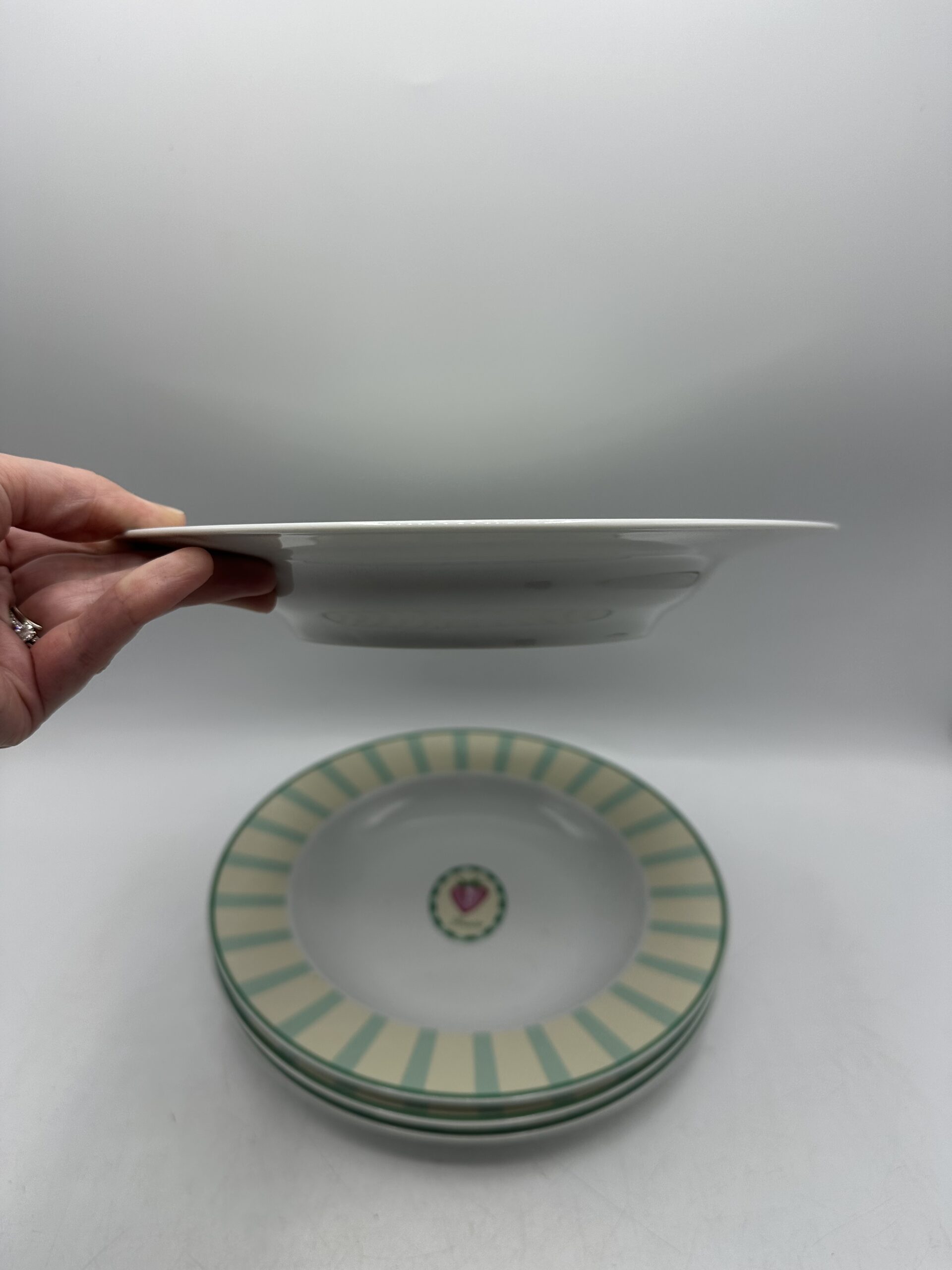 Assiettes creuses Guy Degrenne Tendre Jardin – Image 5