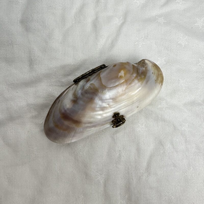Petit porte monnaie coquillage nacre