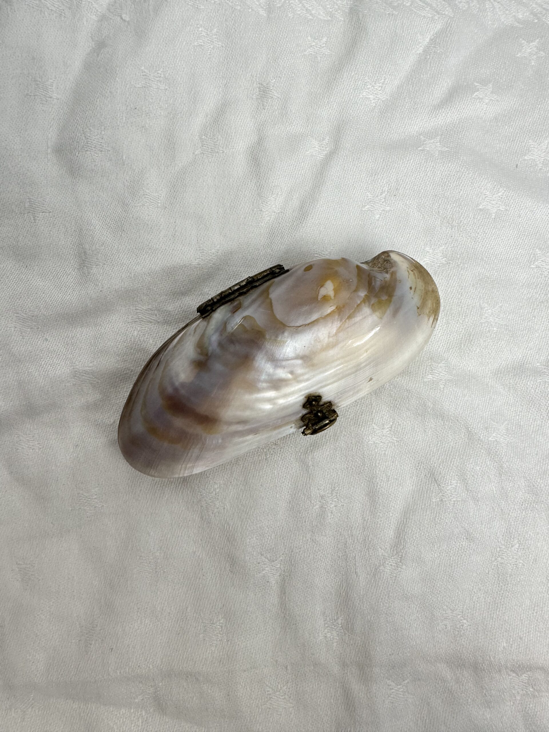 Petit porte monnaie coquillage nacre