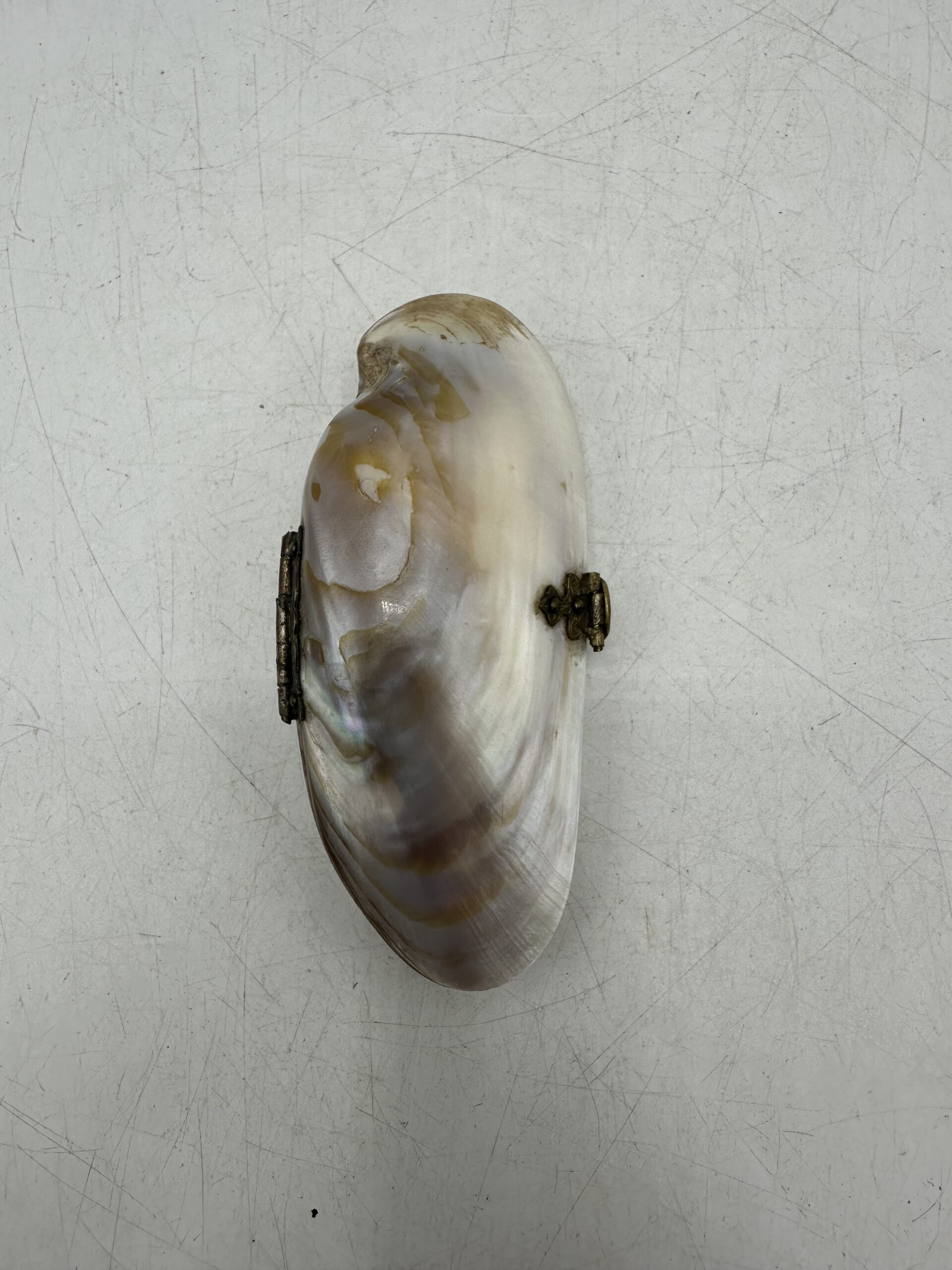 Petit porte monnaie coquillage nacre – Image 2