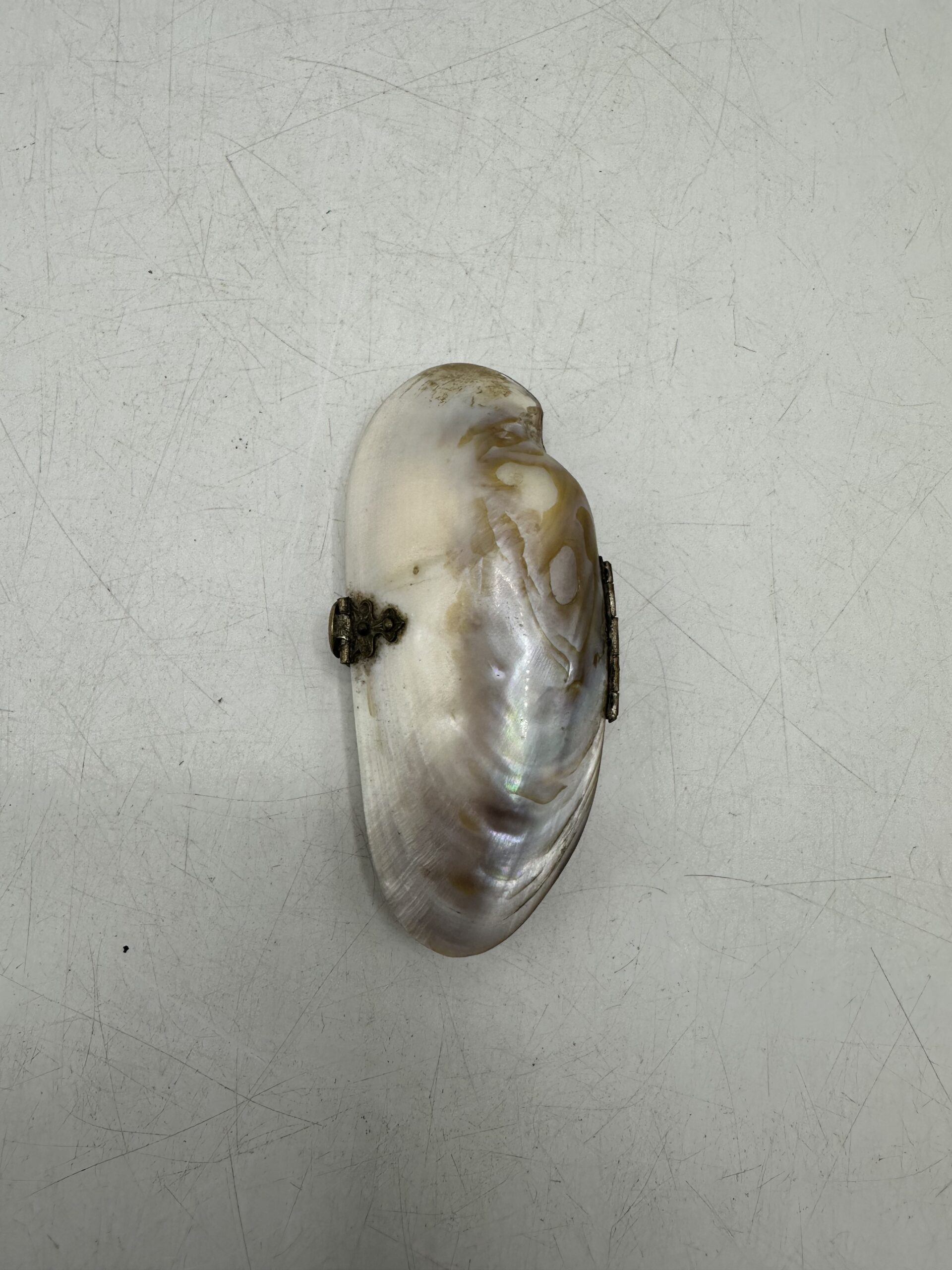 Petit porte monnaie coquillage nacre – Image 3