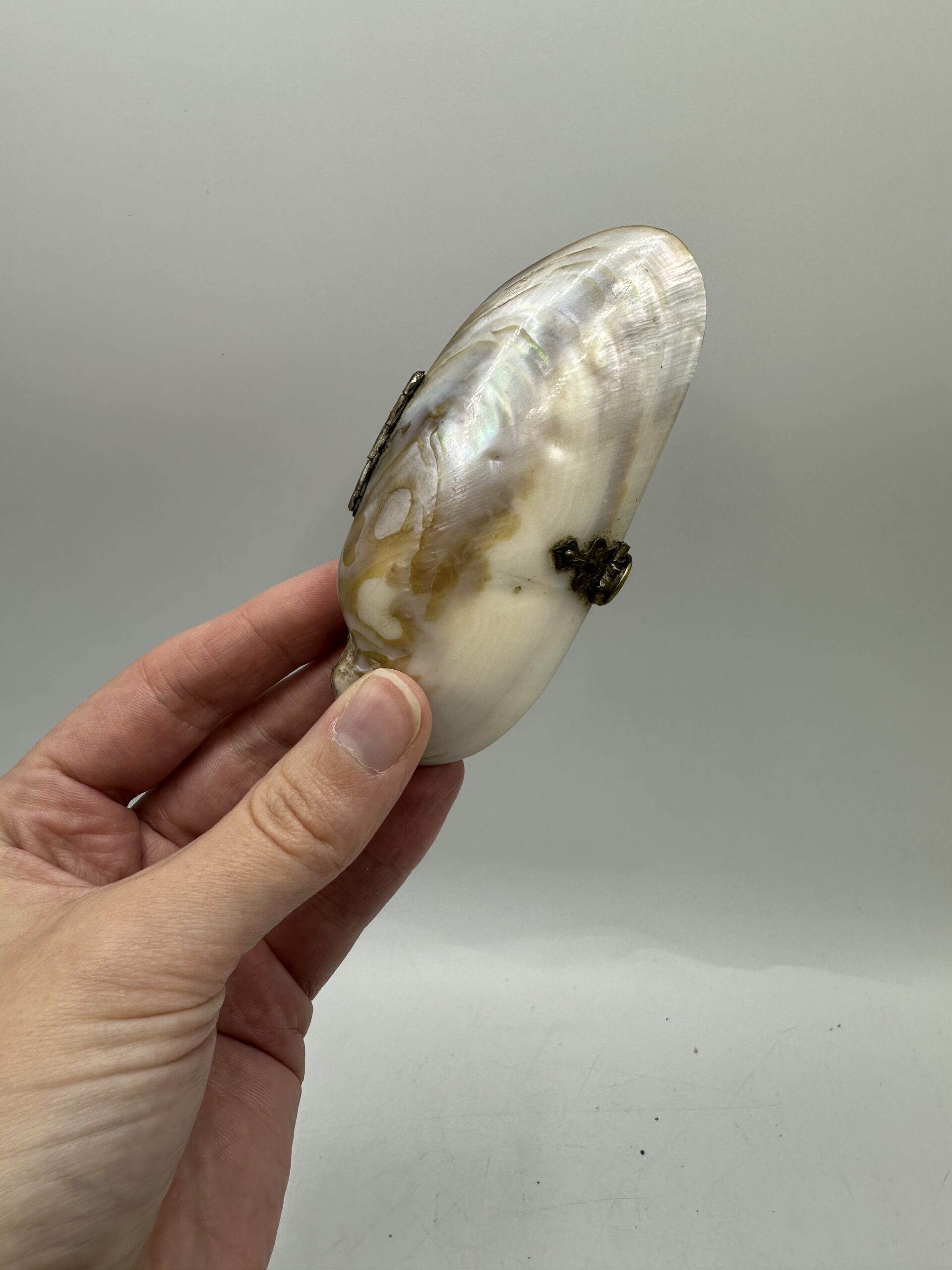 Petit porte monnaie coquillage nacre – Image 4