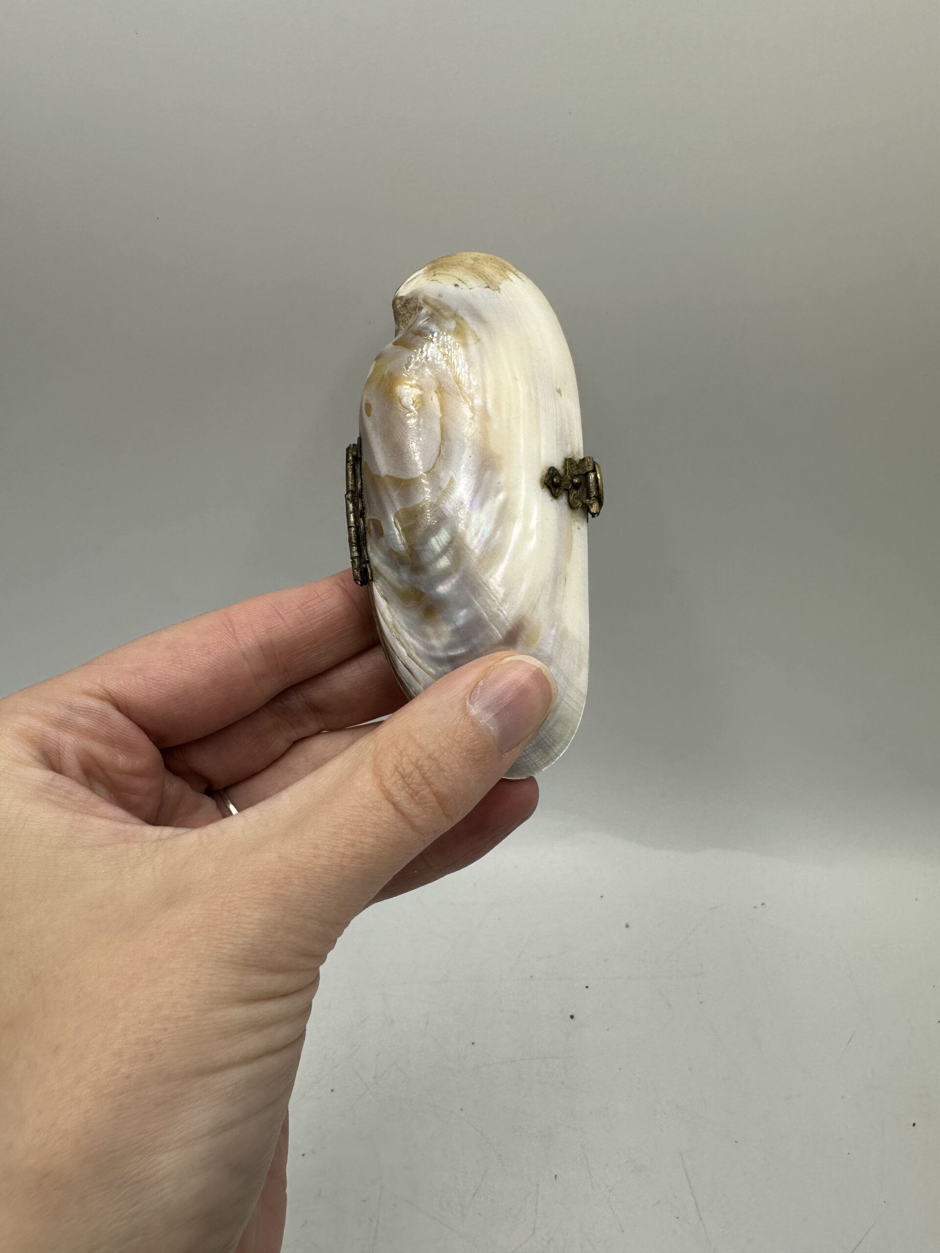 Petit porte monnaie coquillage nacre – Image 5