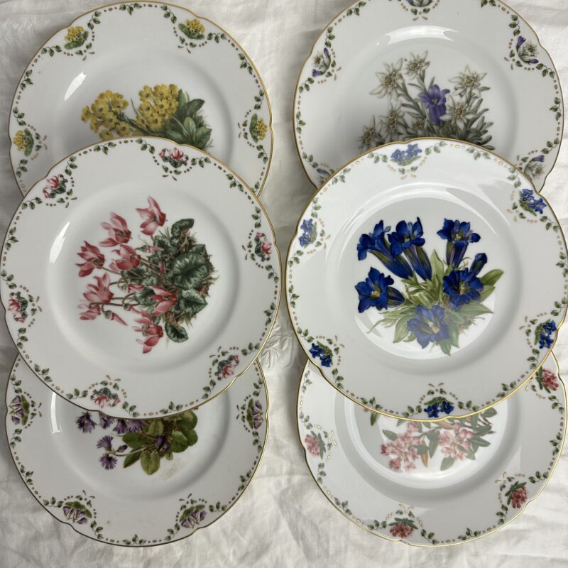 6 assiettes à dessert florales Aurikel