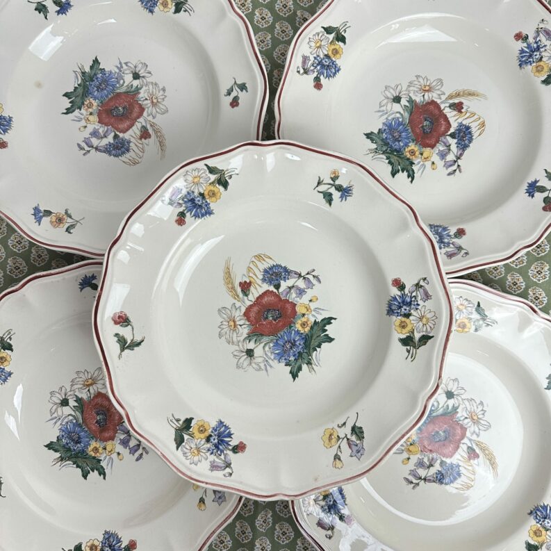 5 assiettes creuses Agreste Sarreguemines