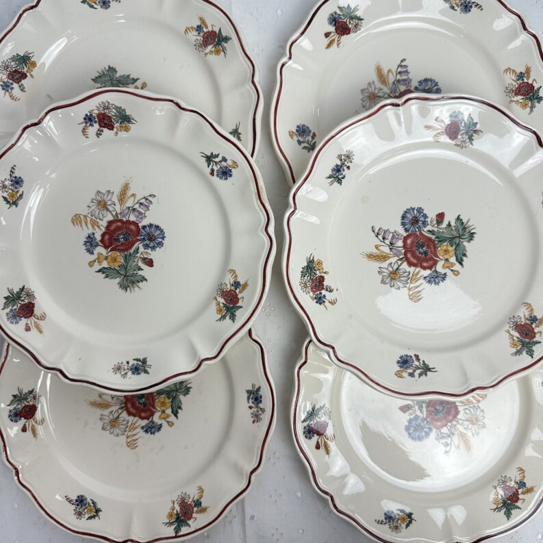 6 assiettes à dessert Agreste Sarreguemines