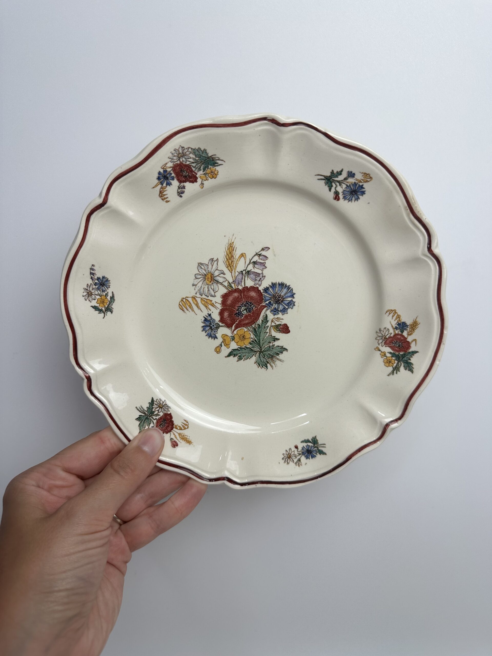 6 assiettes à dessert Agreste Sarreguemines – Image 2