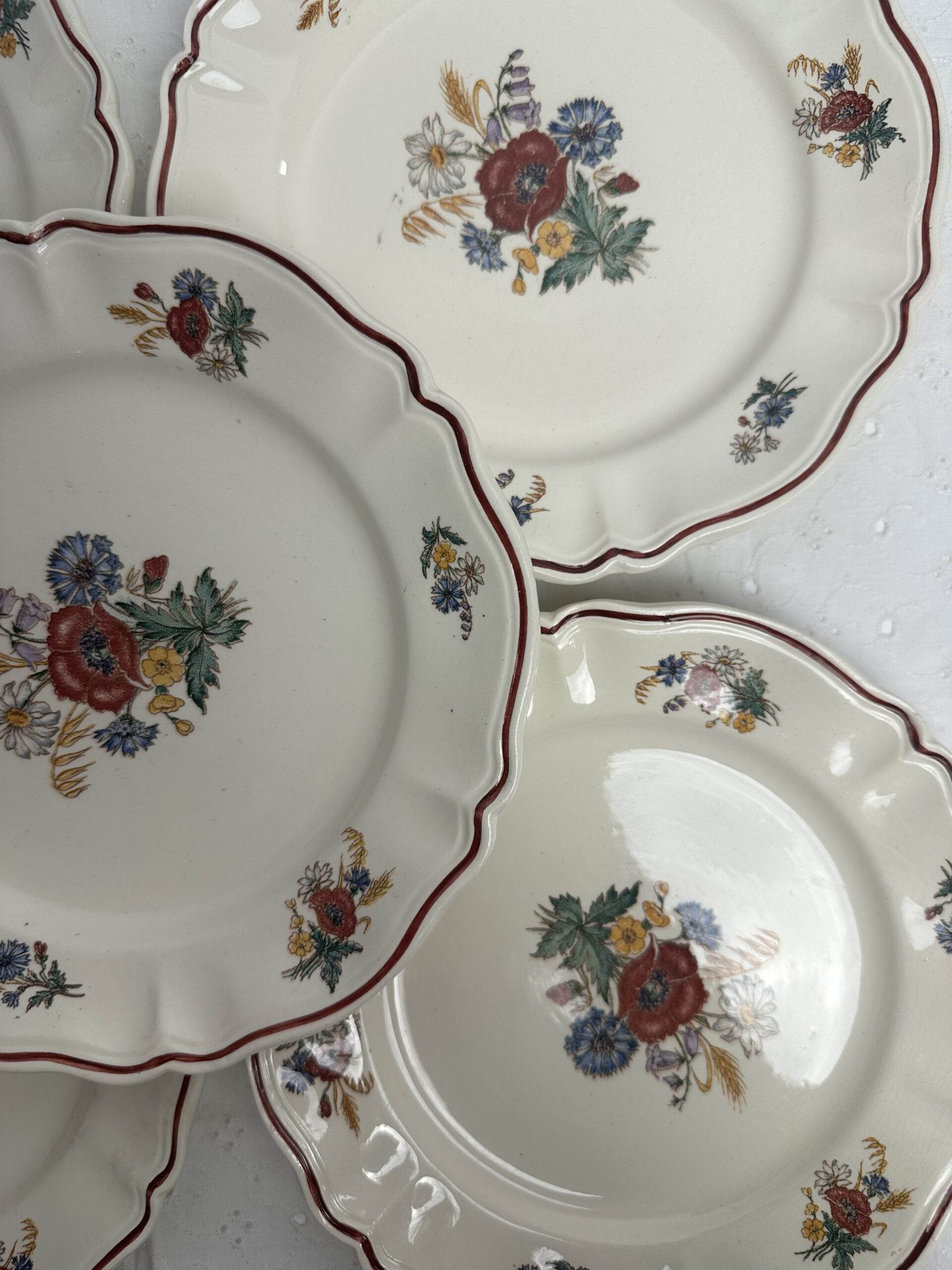 6 assiettes à dessert Agreste Sarreguemines – Image 7
