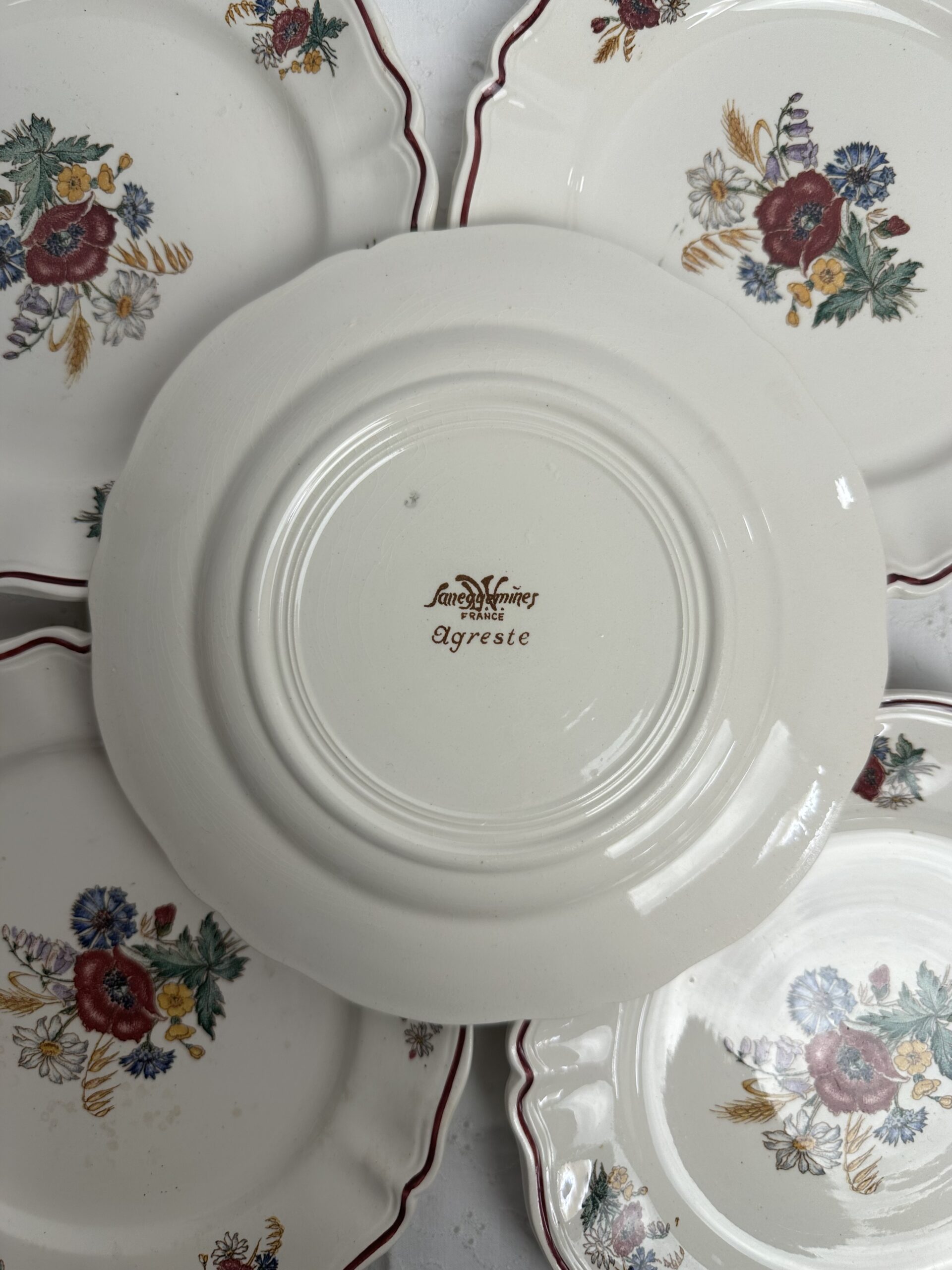 6 assiettes à dessert Agreste Sarreguemines – Image 10