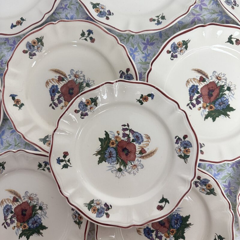 10 assiettes à dessert Agreste Sarreguemines