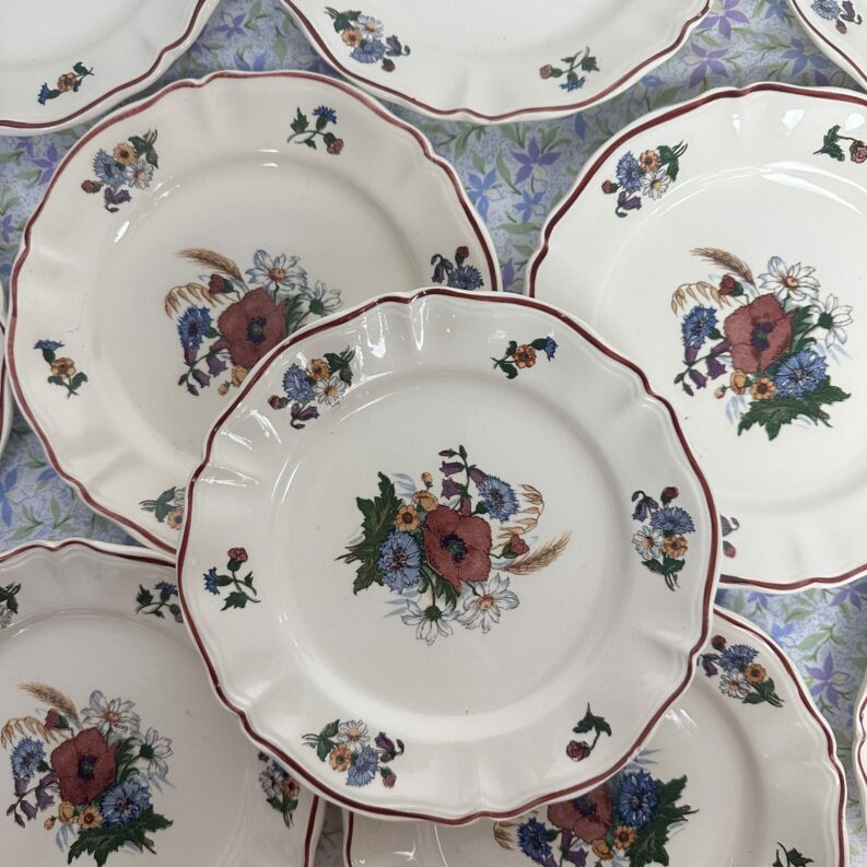 10 assiettes à dessert Agreste Sarreguemines