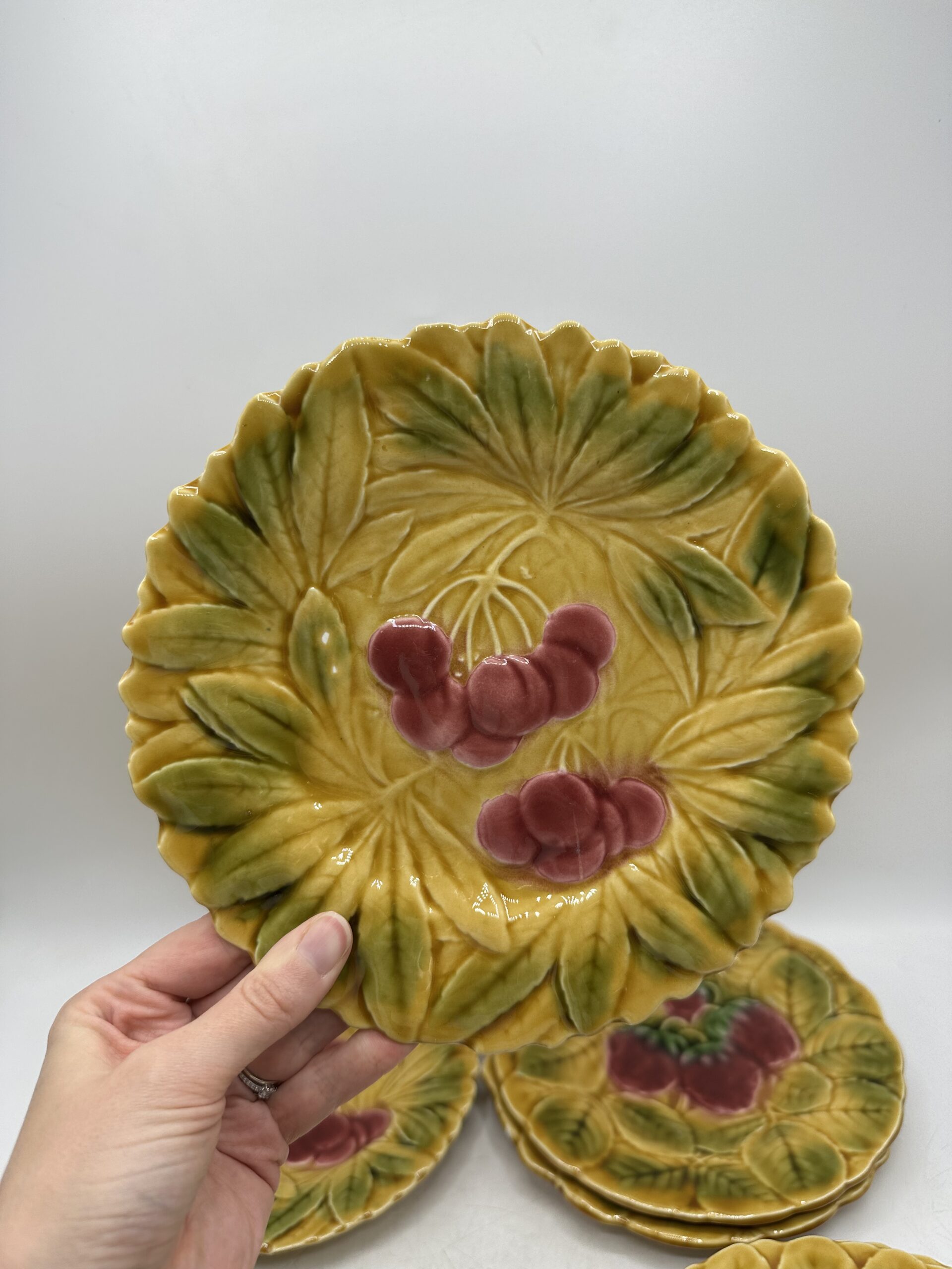 10 assiettes barbotine Sarreguemines – Image 3