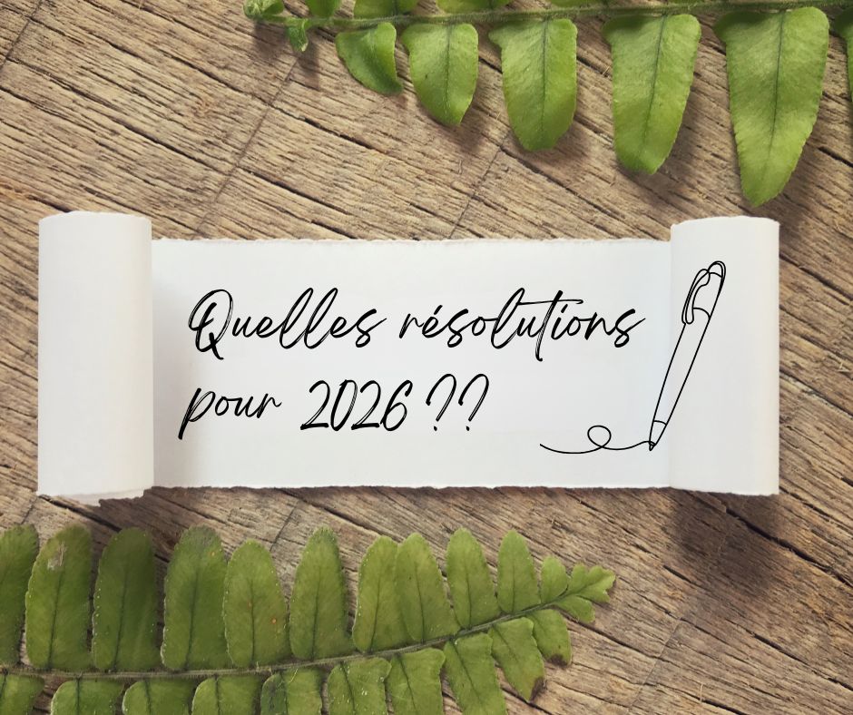 articles de blog sur les résolutions à venir pour 2026 en matière de réemploi et seconde main, ressourcerie histoires sans fin, bonnes résolutions réemploi