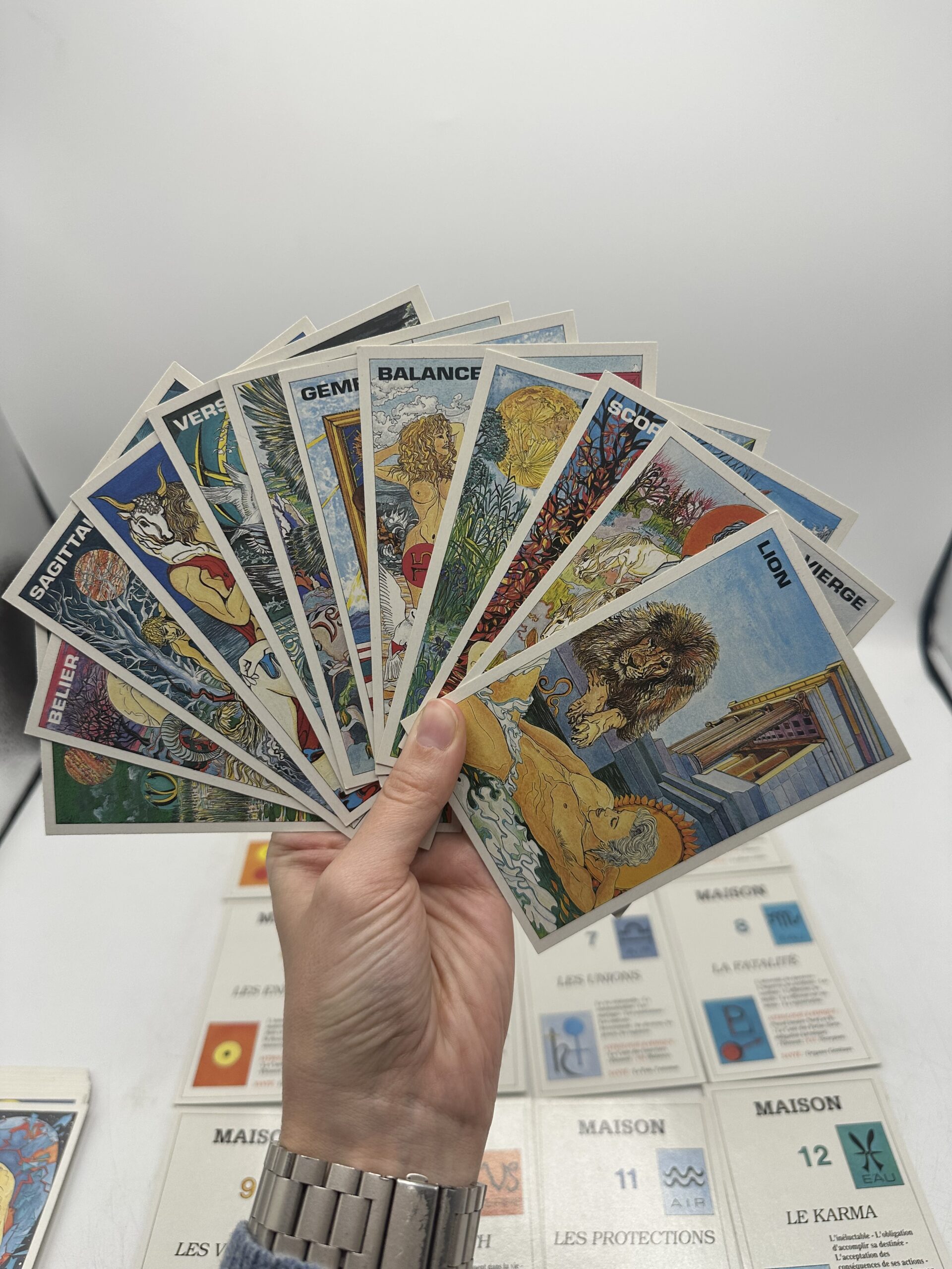 Tarot astro karmique Eric Jansen – Image 9