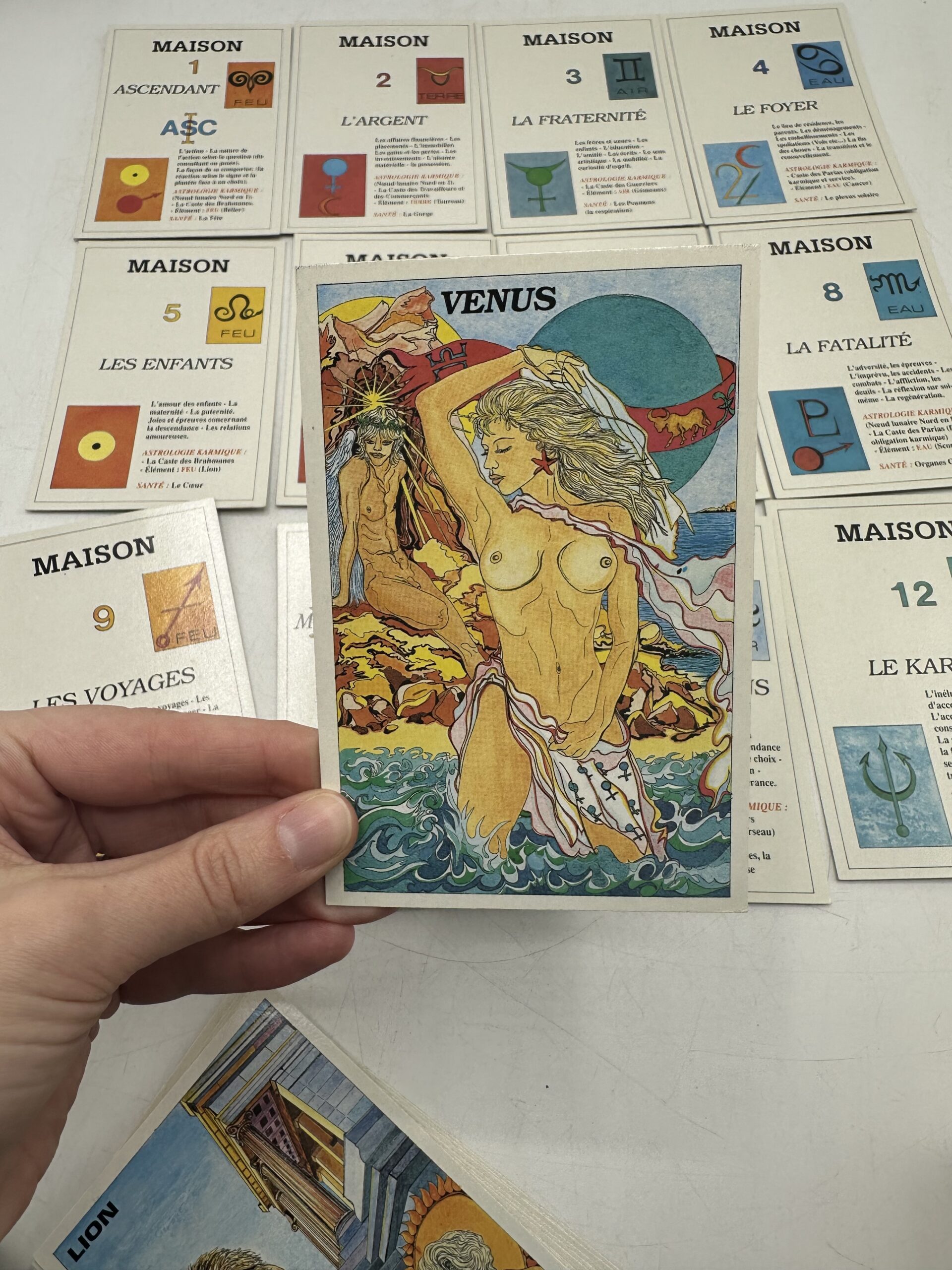 Tarot astro karmique Eric Jansen – Image 12