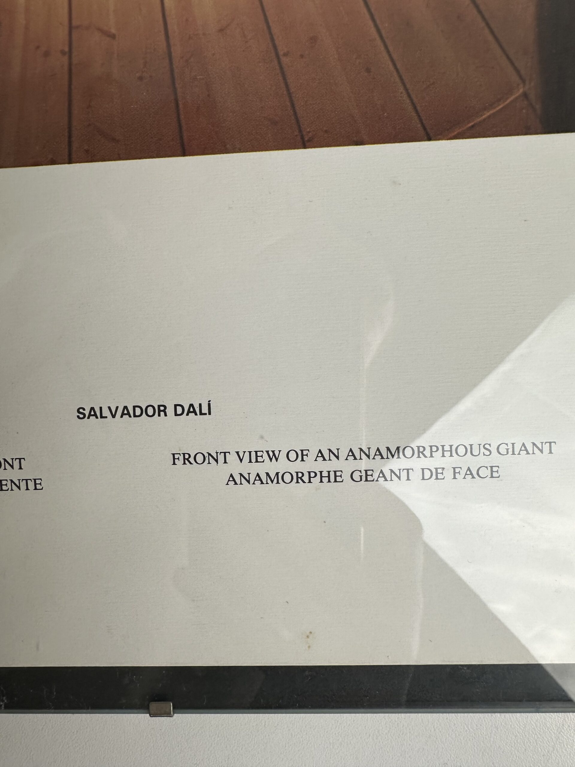 Affiche Salvador Dali Anamorphe géant de face – Image 5