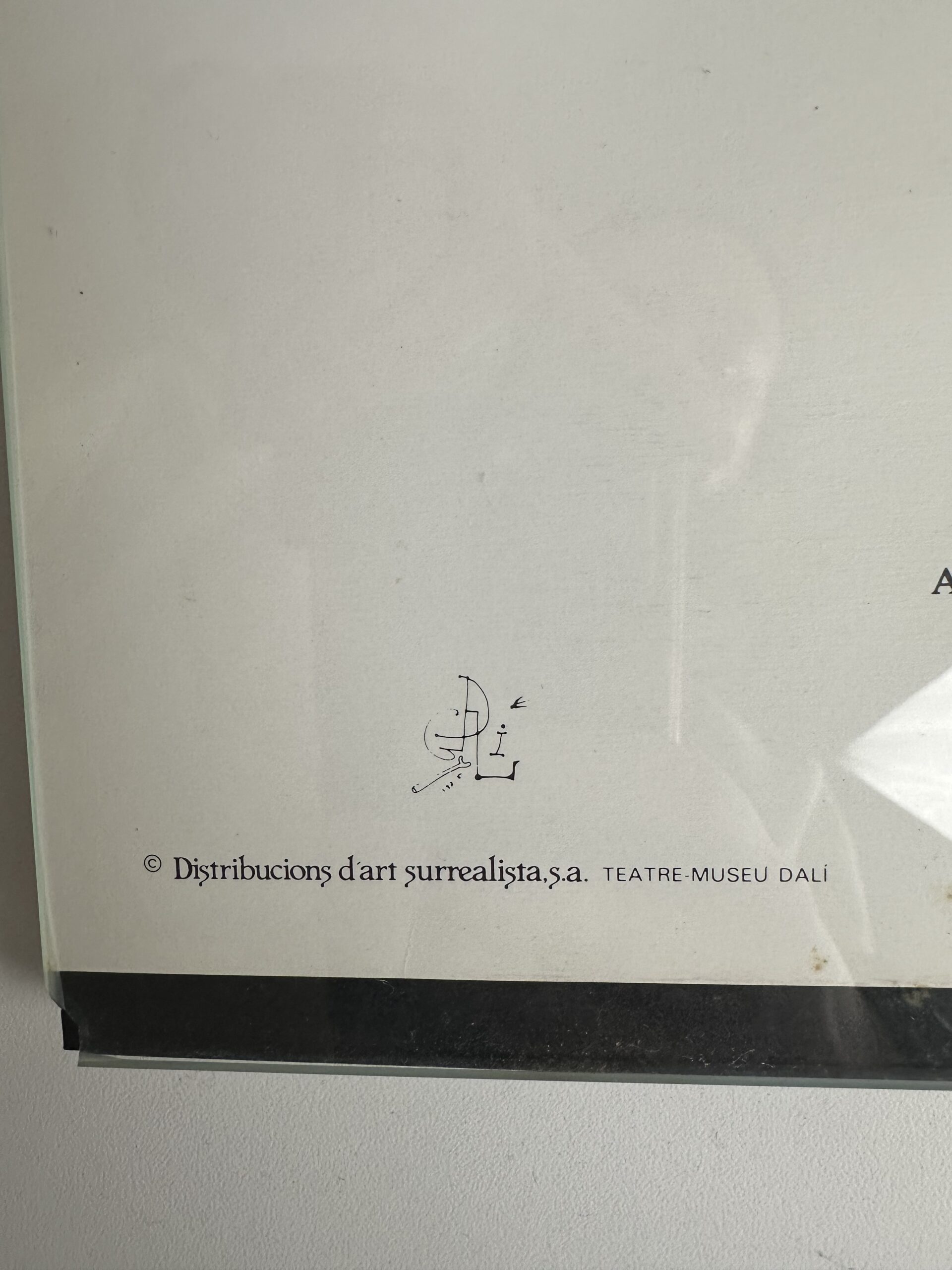 Affiche Salvador Dali Anamorphe géant de face – Image 6