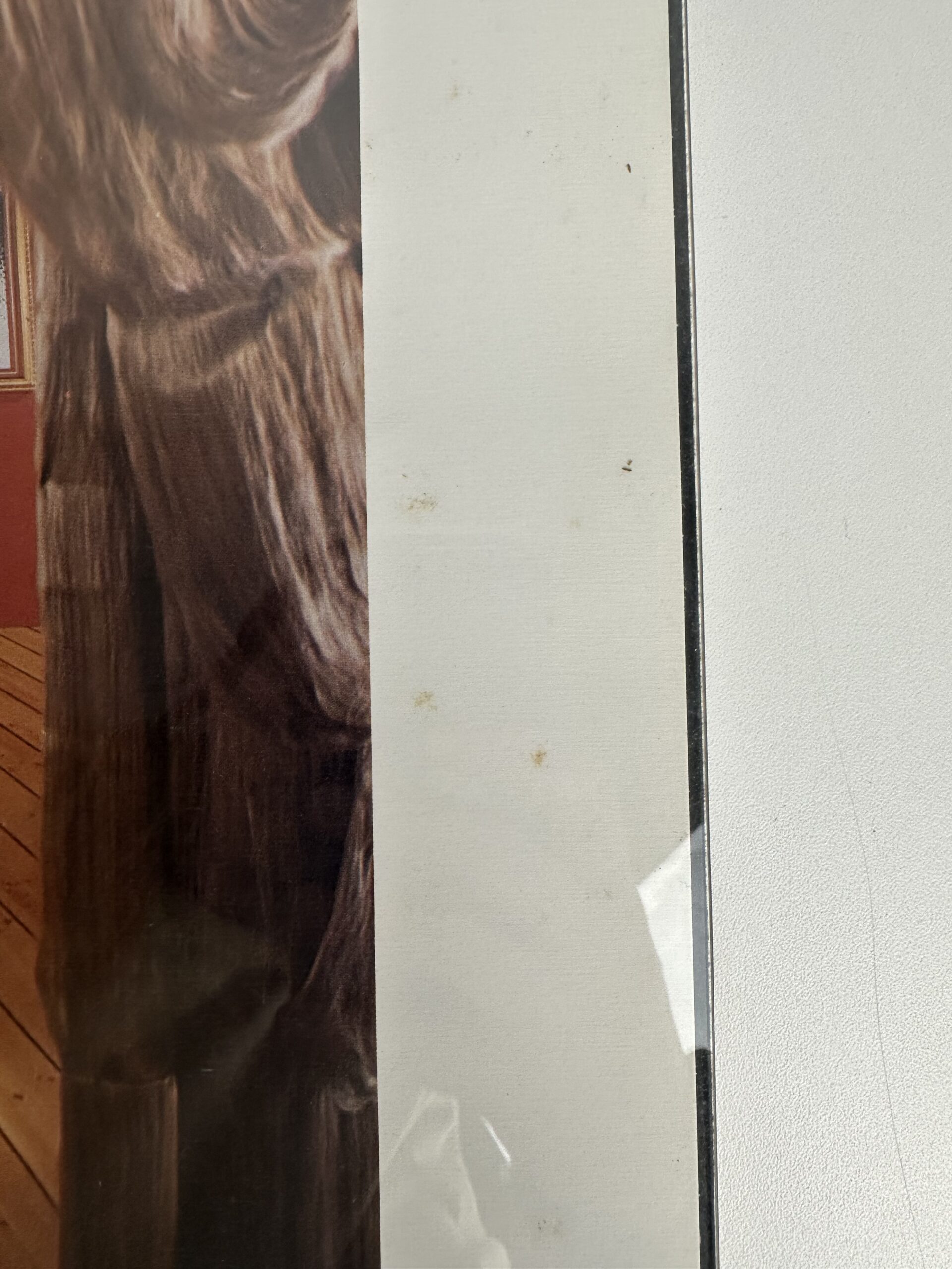 Affiche Salvador Dali Anamorphe géant de face – Image 7