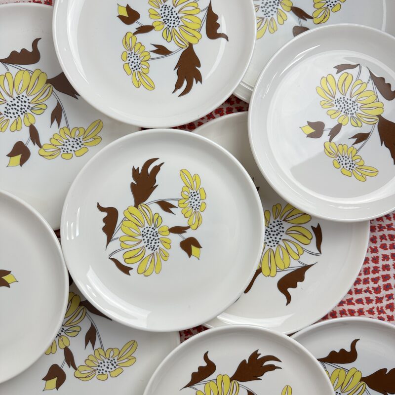 Service 10 assiettes Sovirel vintage