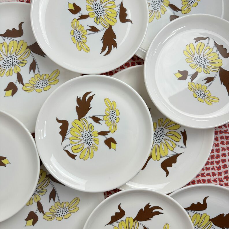 Service 10 assiettes Sovirel vintage