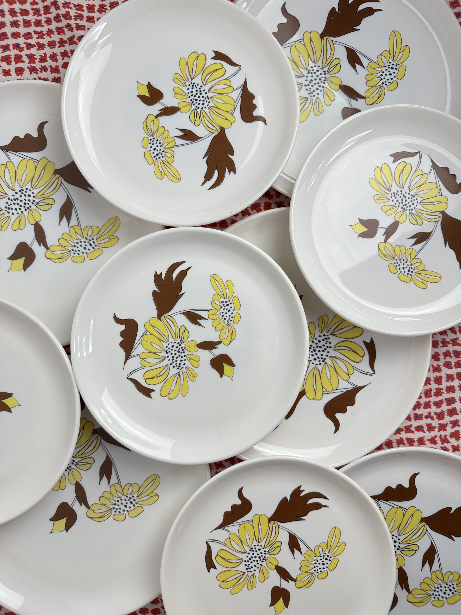 Service 10 assiettes Sovirel vintage