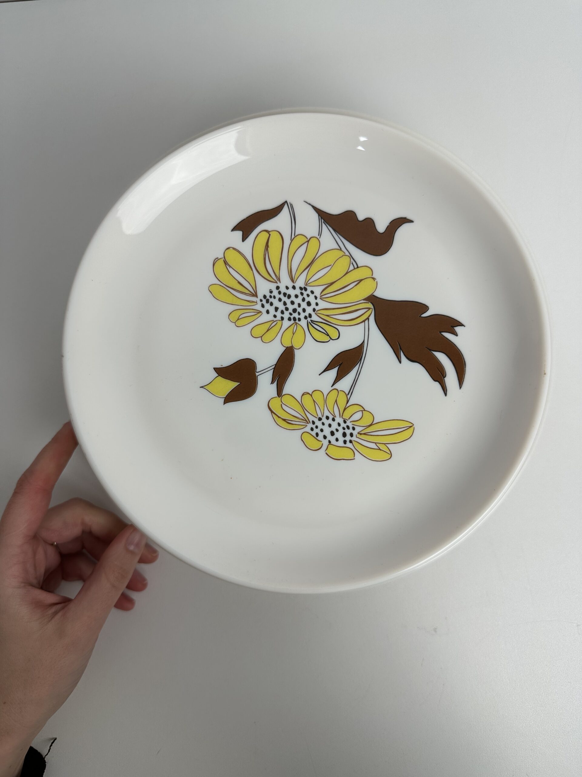 Service 10 assiettes Sovirel vintage – Image 3