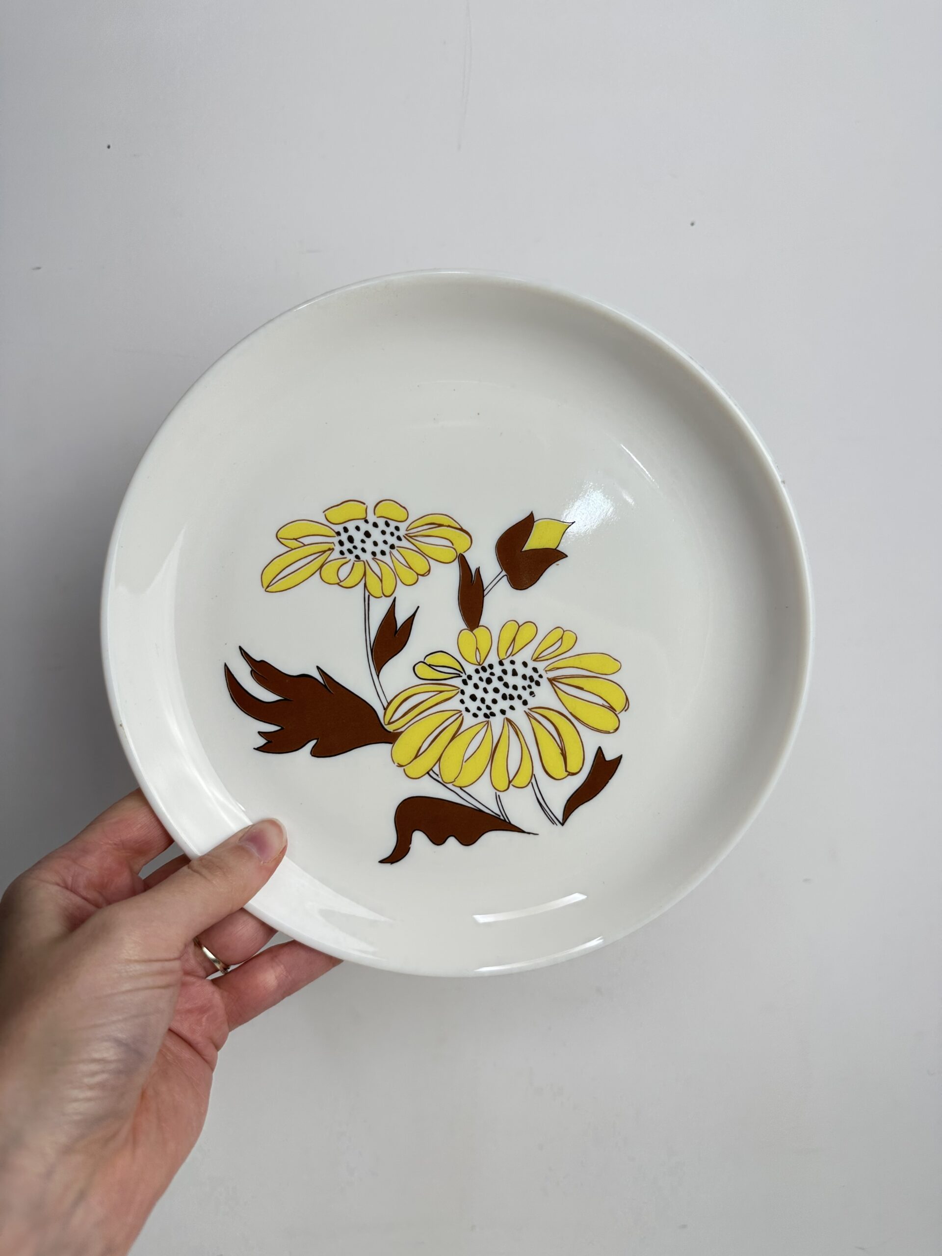 Service 10 assiettes Sovirel vintage – Image 4