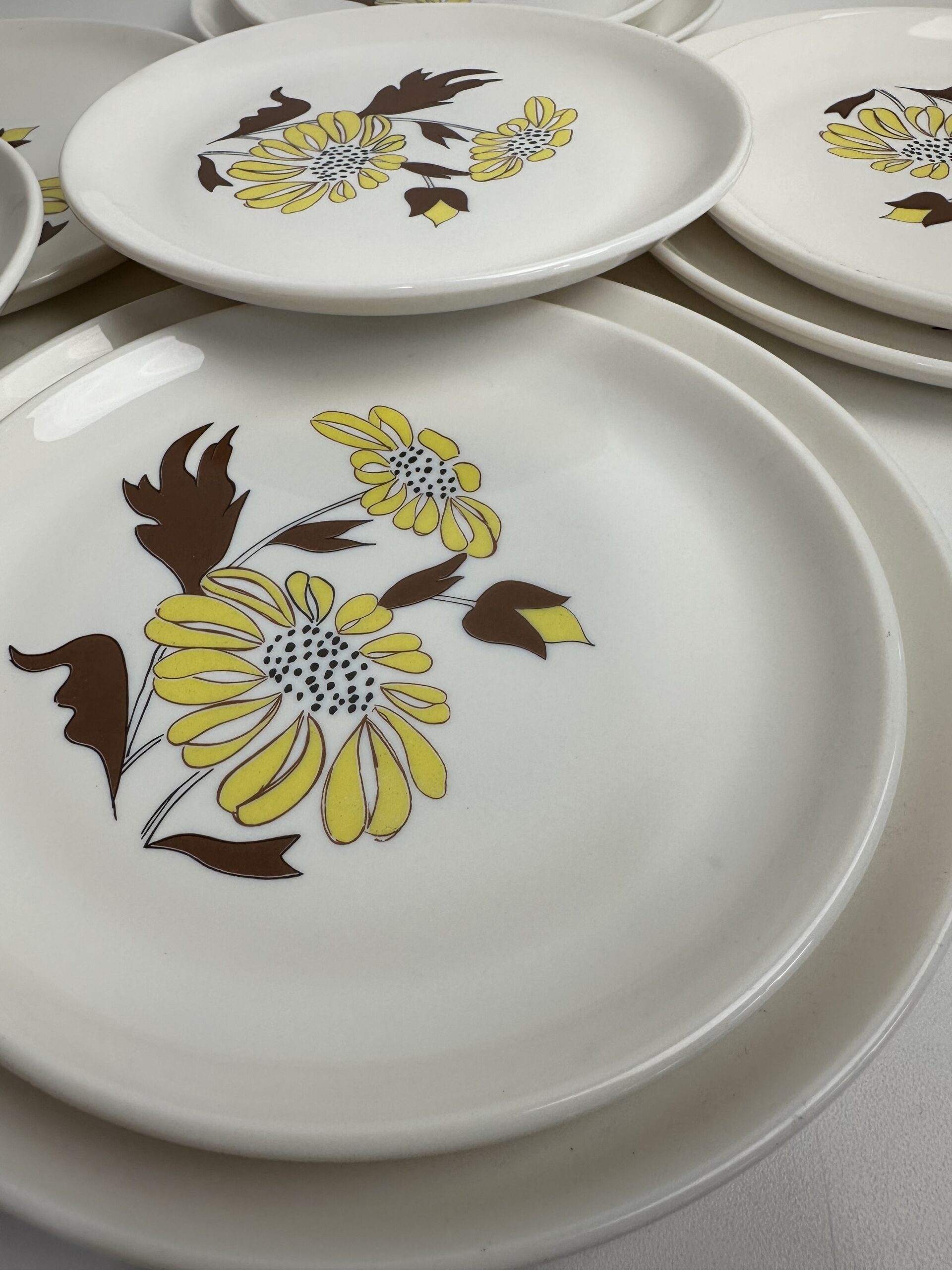 Service 10 assiettes Sovirel vintage – Image 8