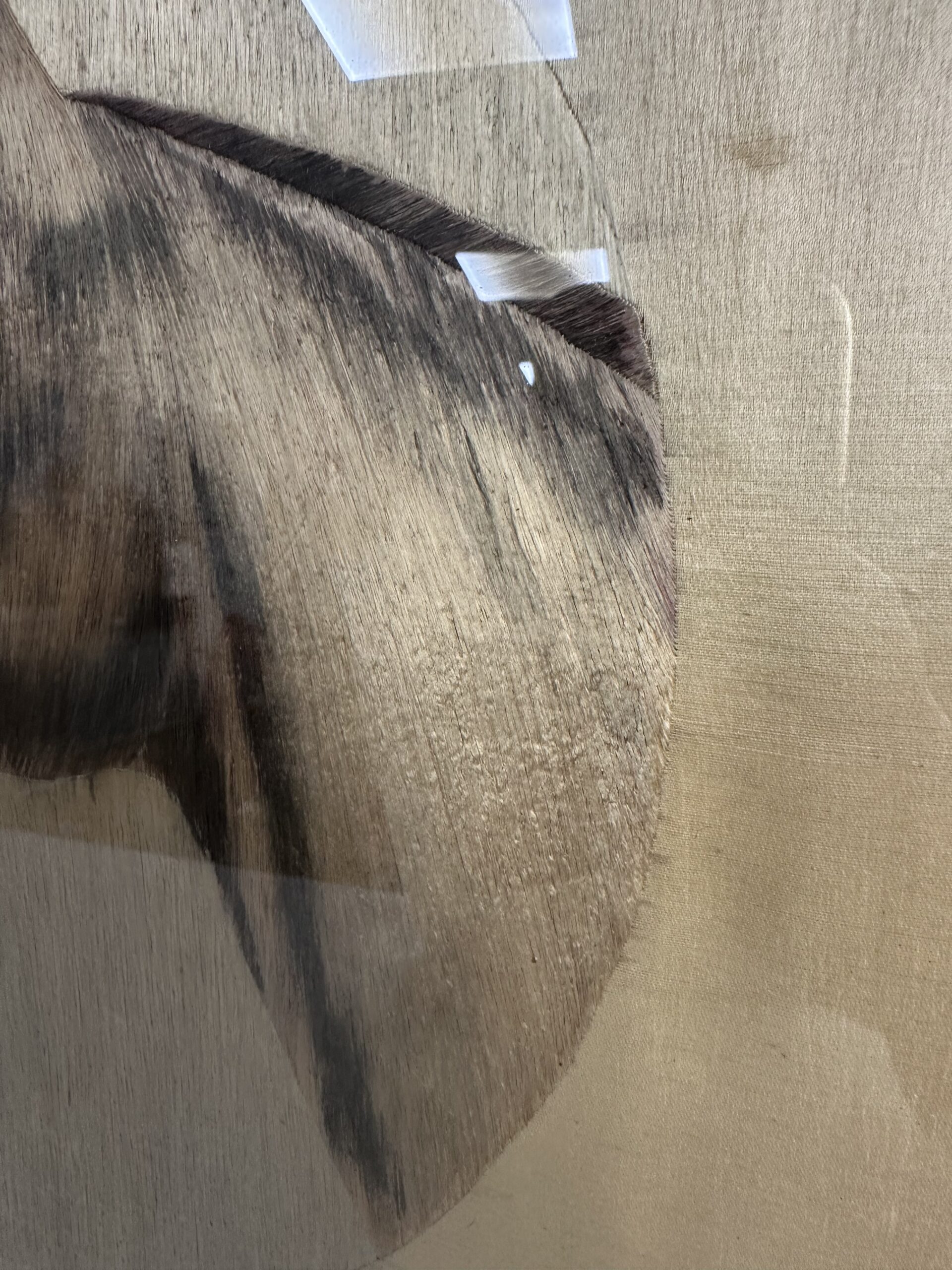 Ancien cadre broderie sur soie – Image 5