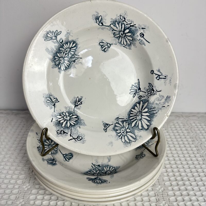 Lot de 6 assiettes Givors Marguerite