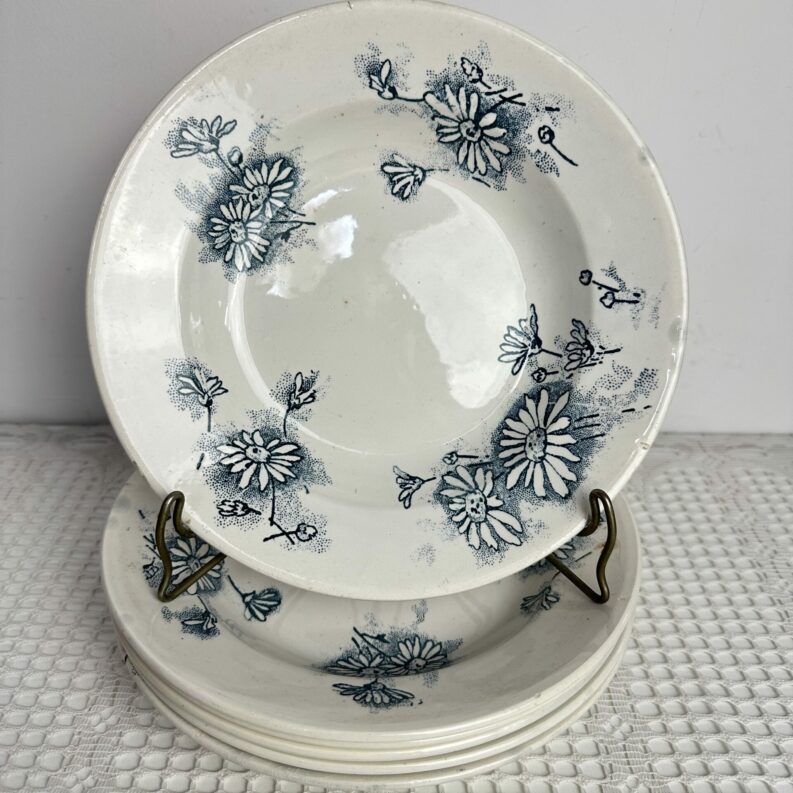 Lot de 6 assiettes Givors Marguerite