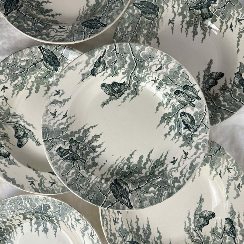 6 assiettes creuses Sarreguemines Neige U&C