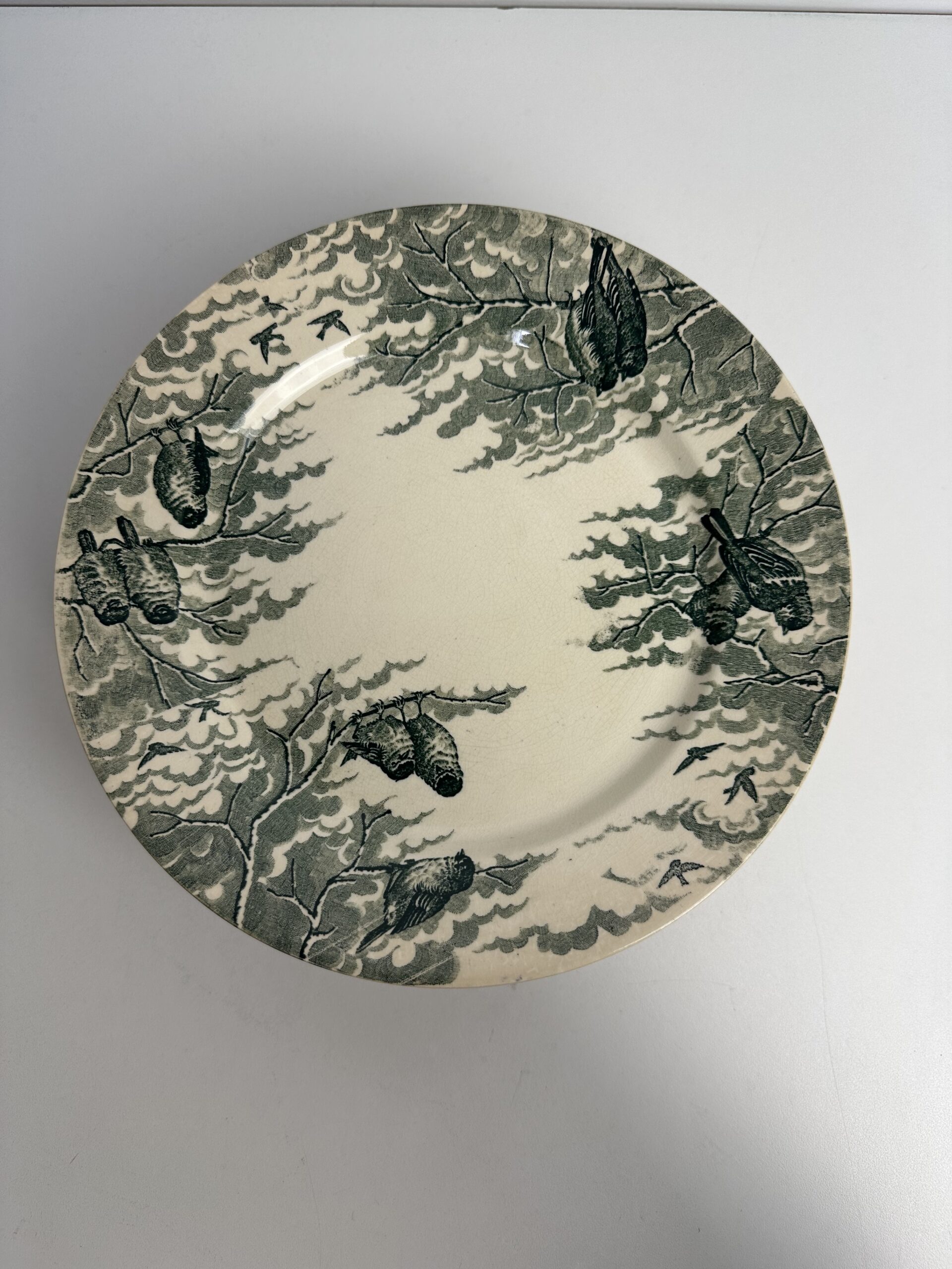 10 assiettes Sarreguemines Neige U&C – Image 3