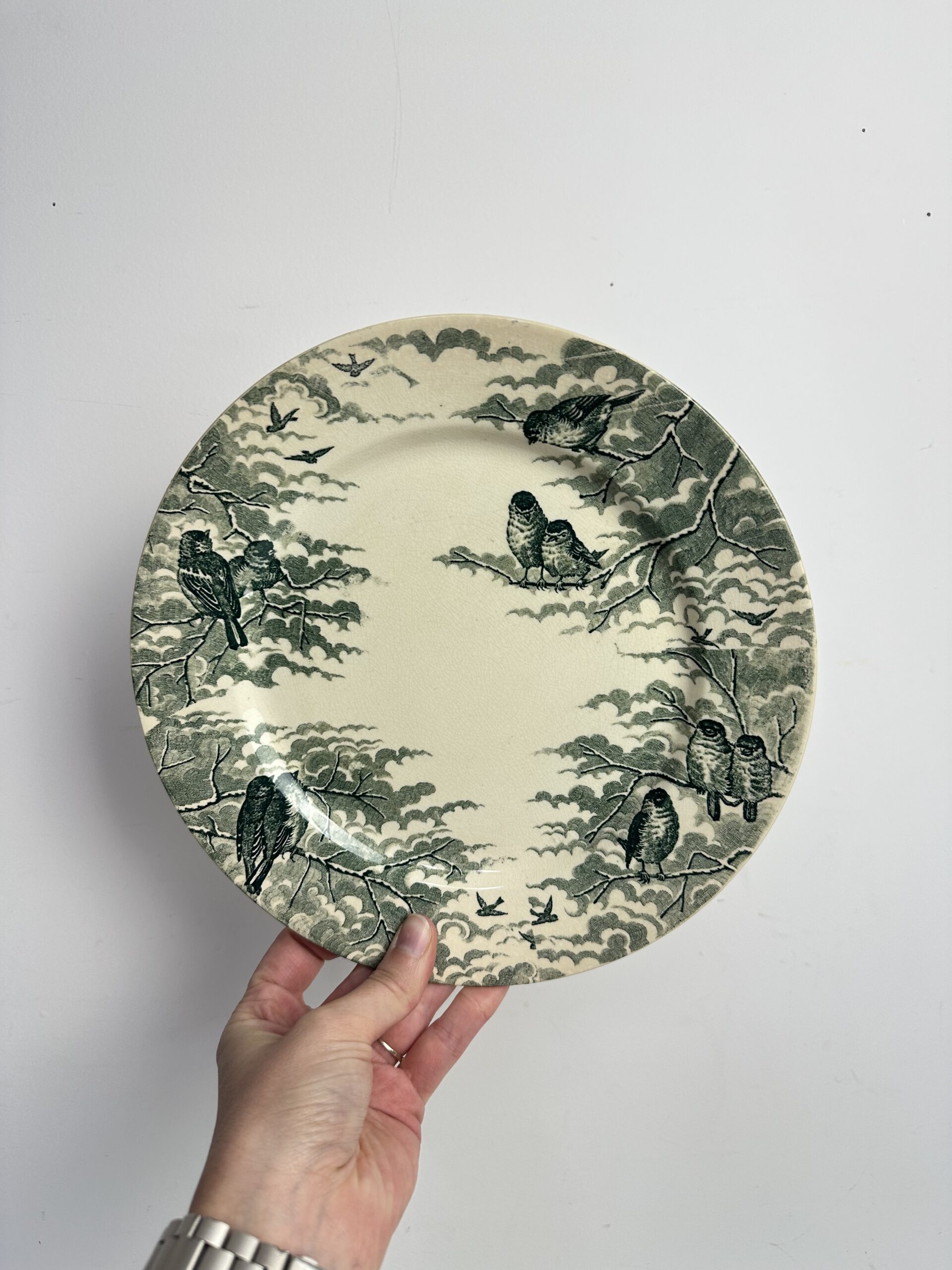 10 assiettes Sarreguemines Neige U&C – Image 4