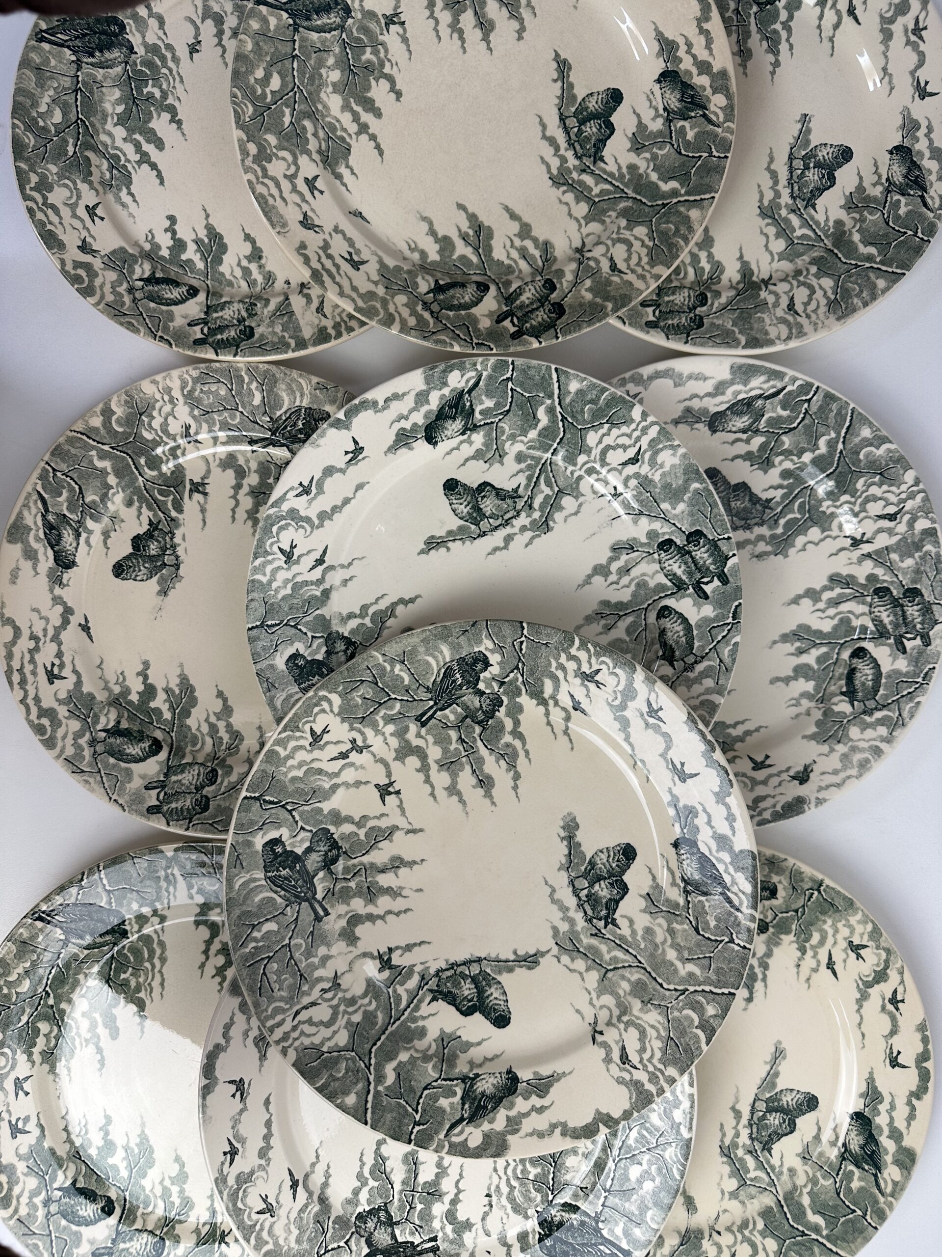 10 assiettes Sarreguemines Neige U&C – Image 5