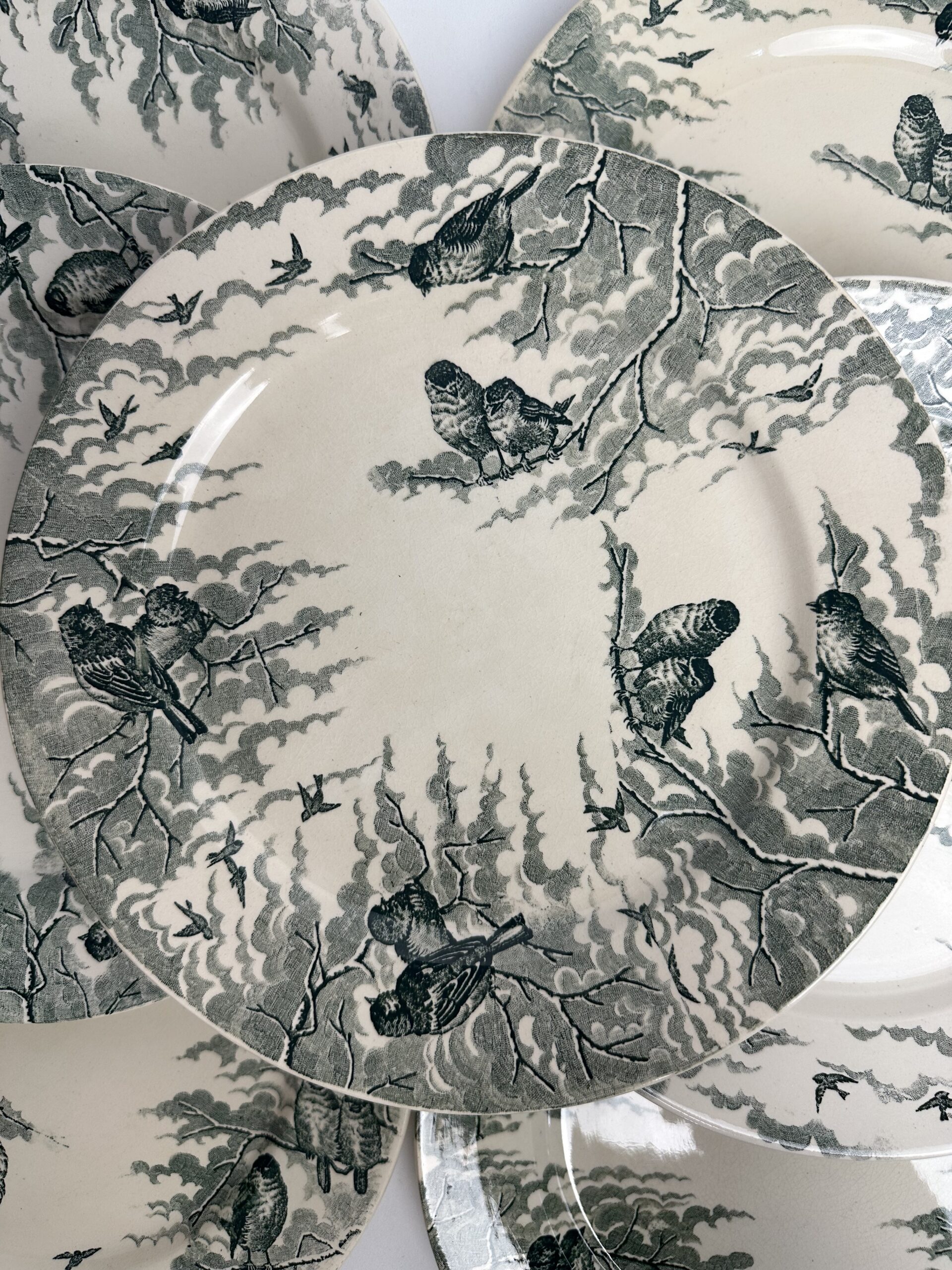 10 assiettes Sarreguemines Neige U&C – Image 6