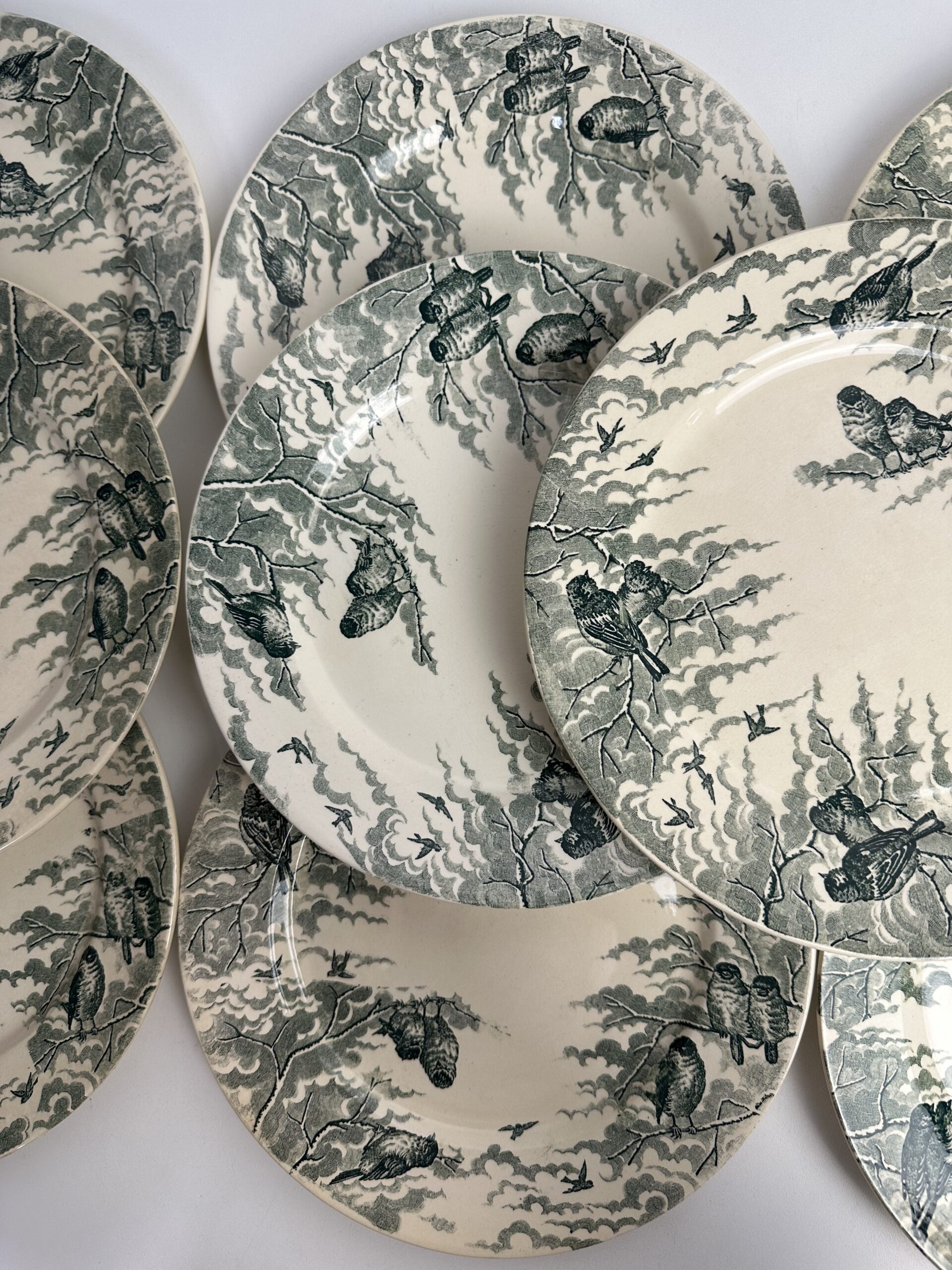 10 assiettes Sarreguemines Neige U&C – Image 8