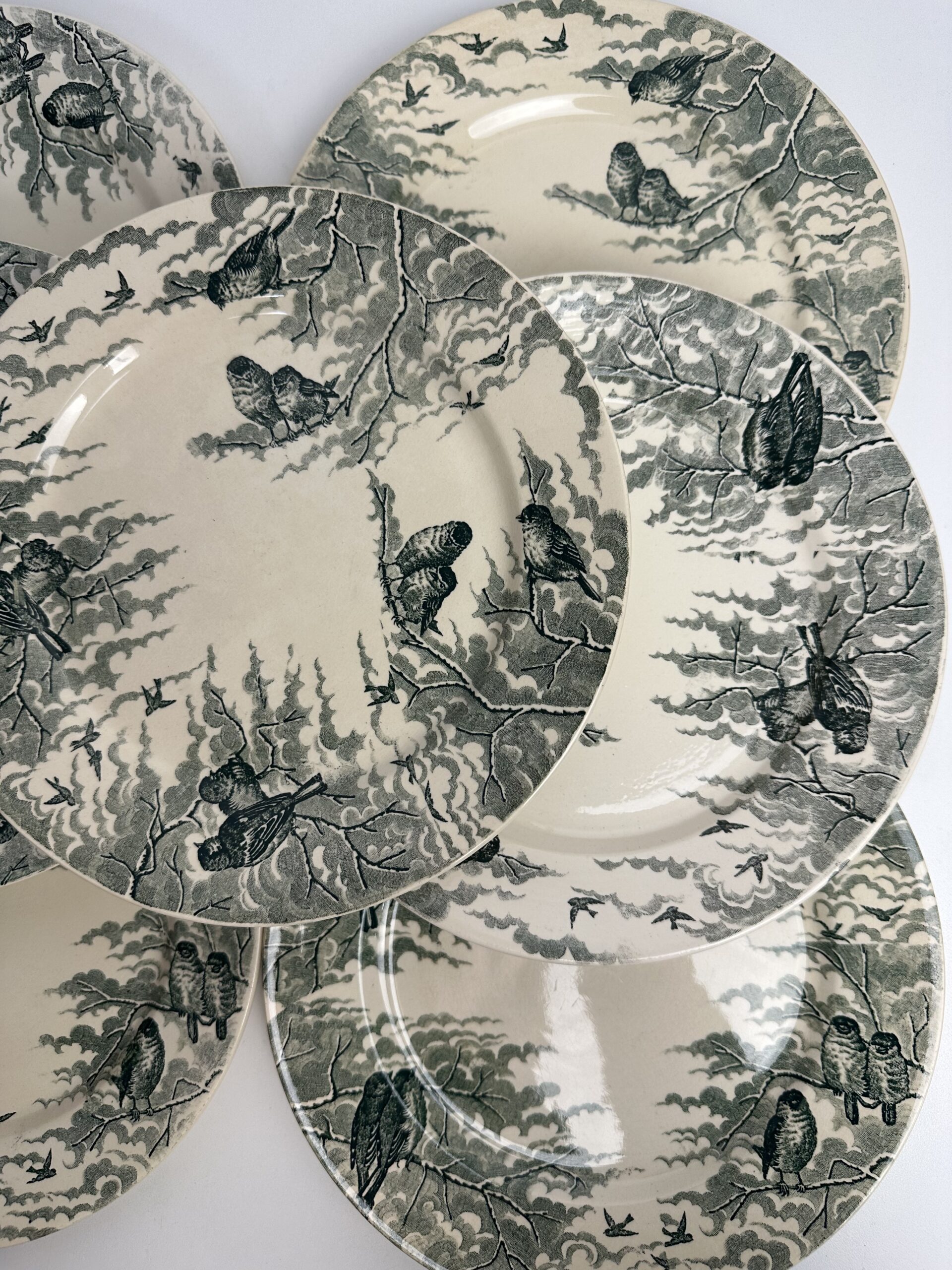 10 assiettes Sarreguemines Neige U&C – Image 9