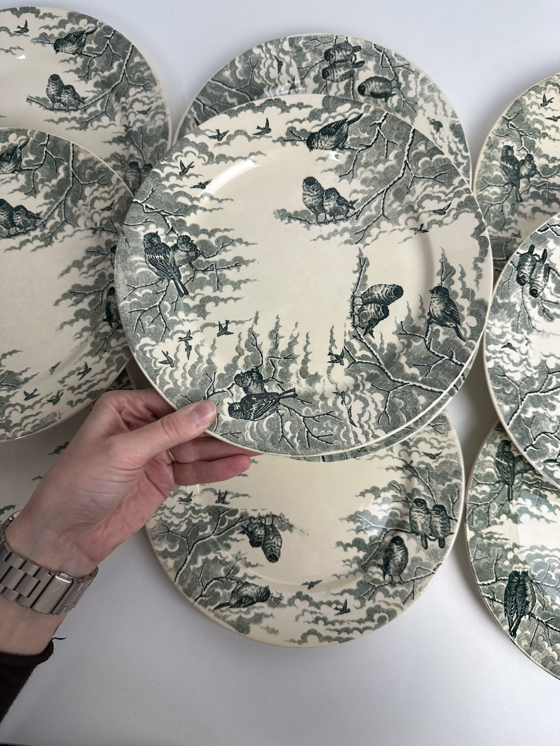 10 assiettes Sarreguemines Neige U&C – Image 10