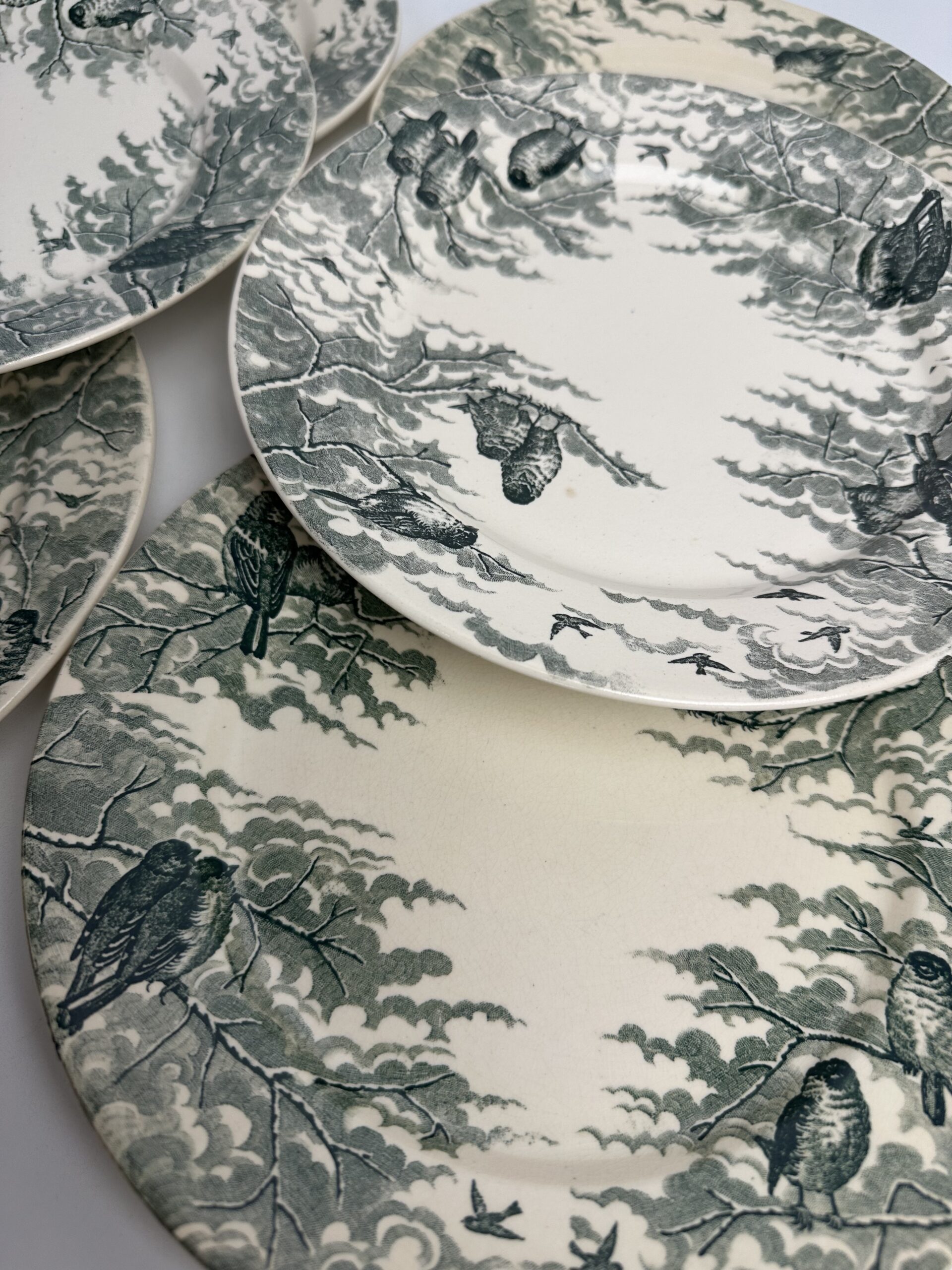 10 assiettes Sarreguemines Neige U&C – Image 14