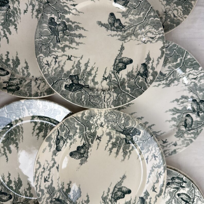 10 assiettes Sarreguemines Neige U&C