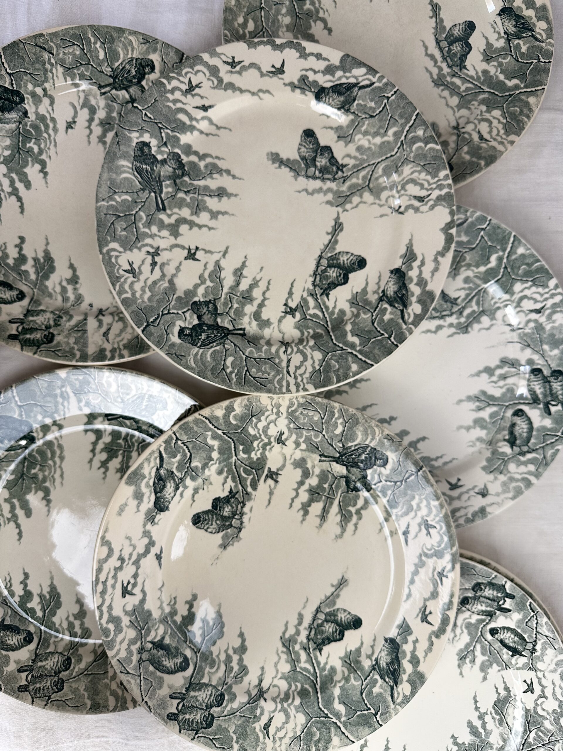 10 assiettes Sarreguemines Neige U&C